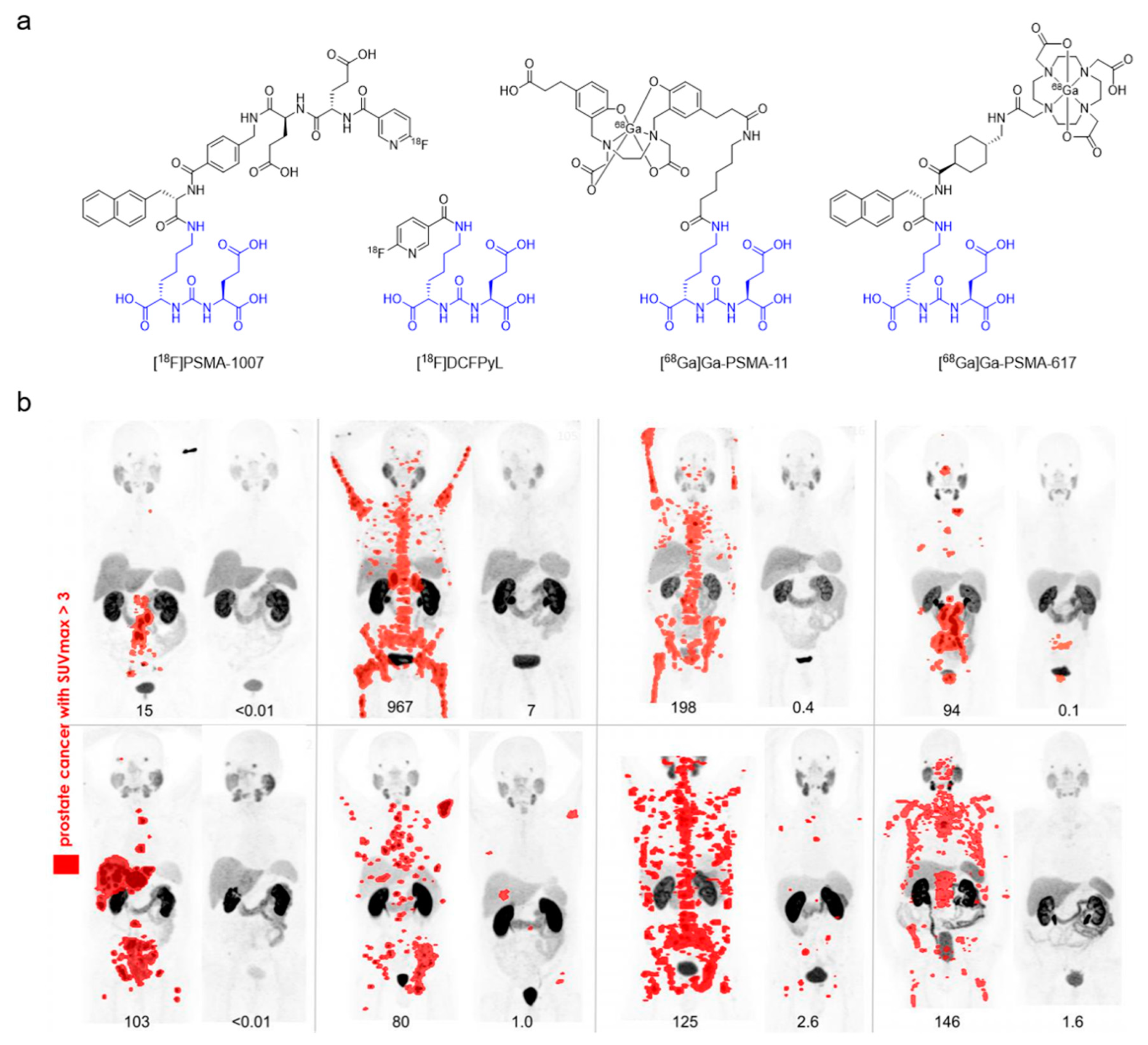 Cancers 12 01312 g005 Cancers 12 01312 g005