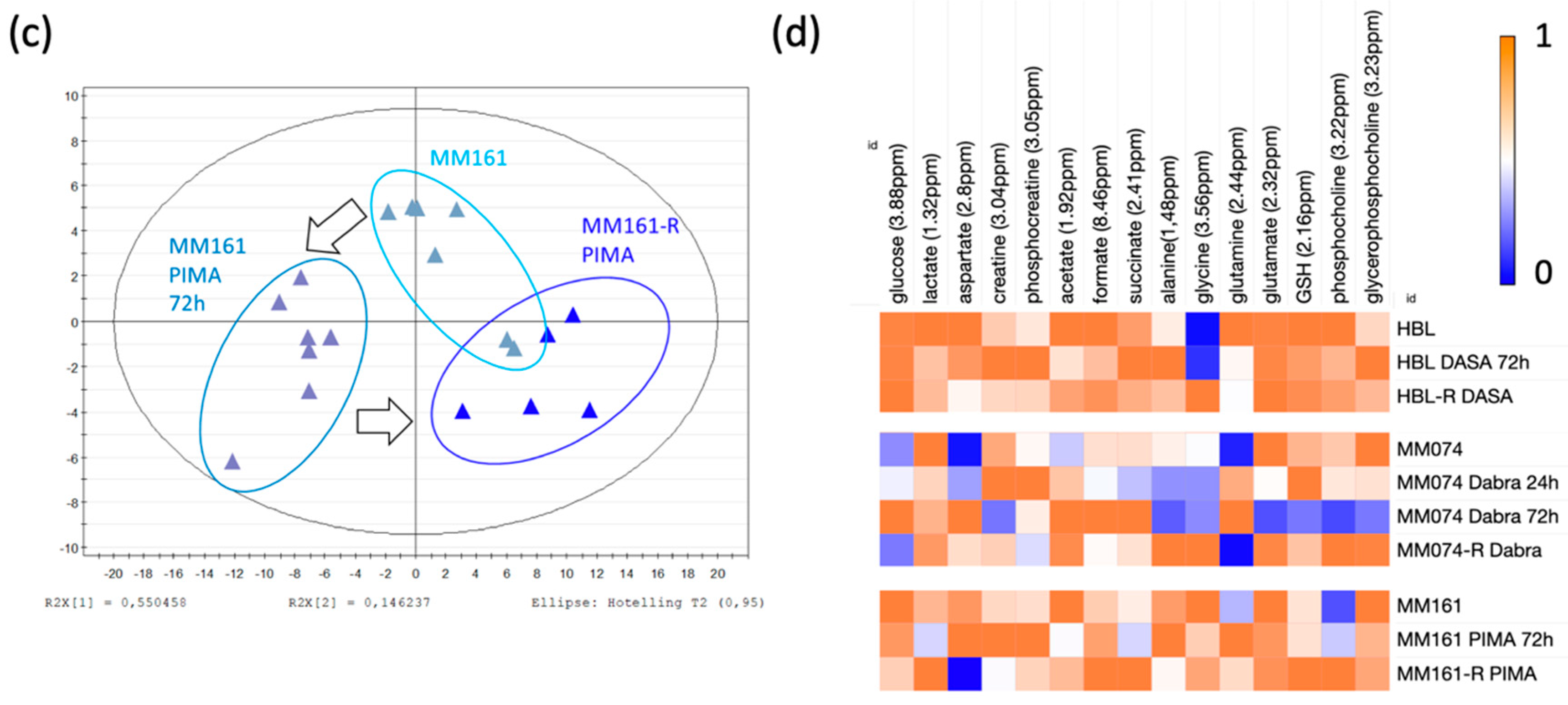 Cancers 12 01323 g002b Cancers 12 01323 g002b