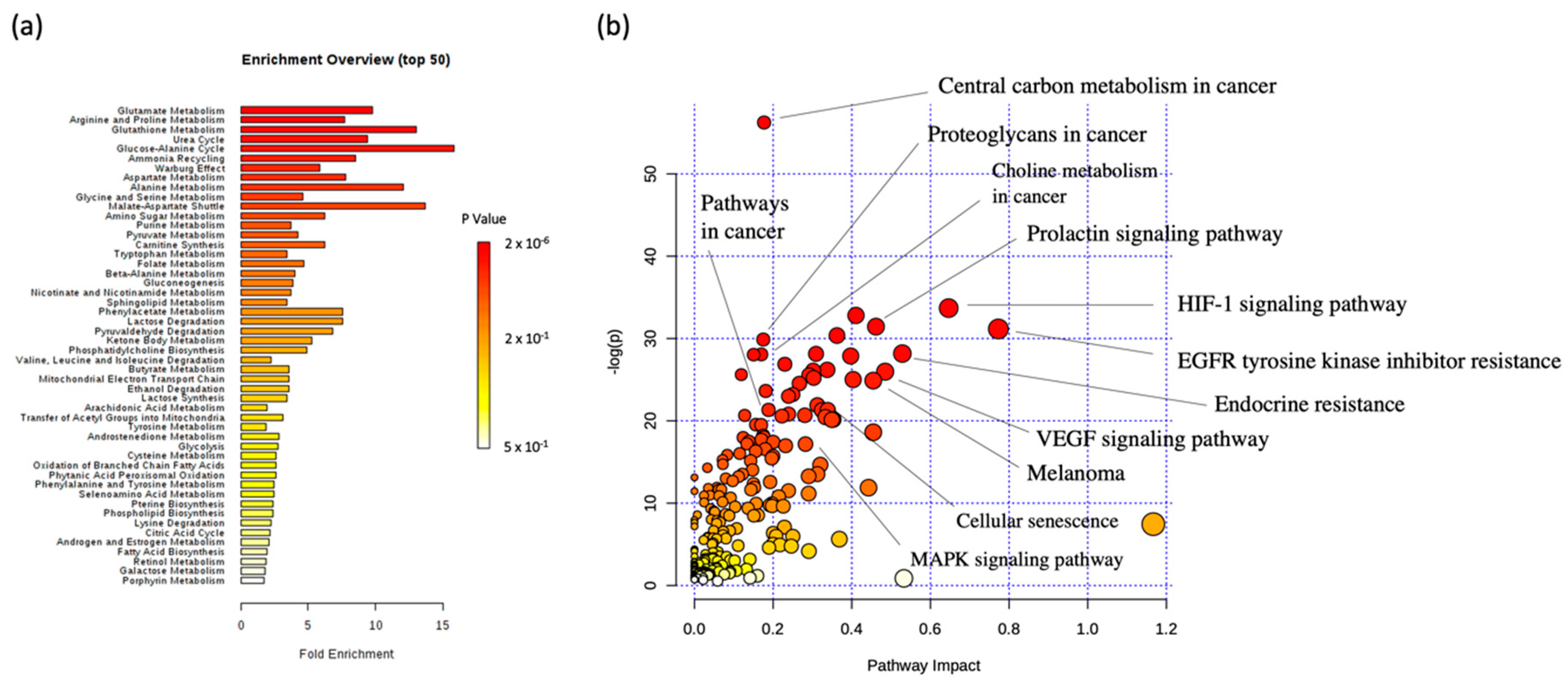 Cancers 12 01323 g005 Cancers 12 01323 g005