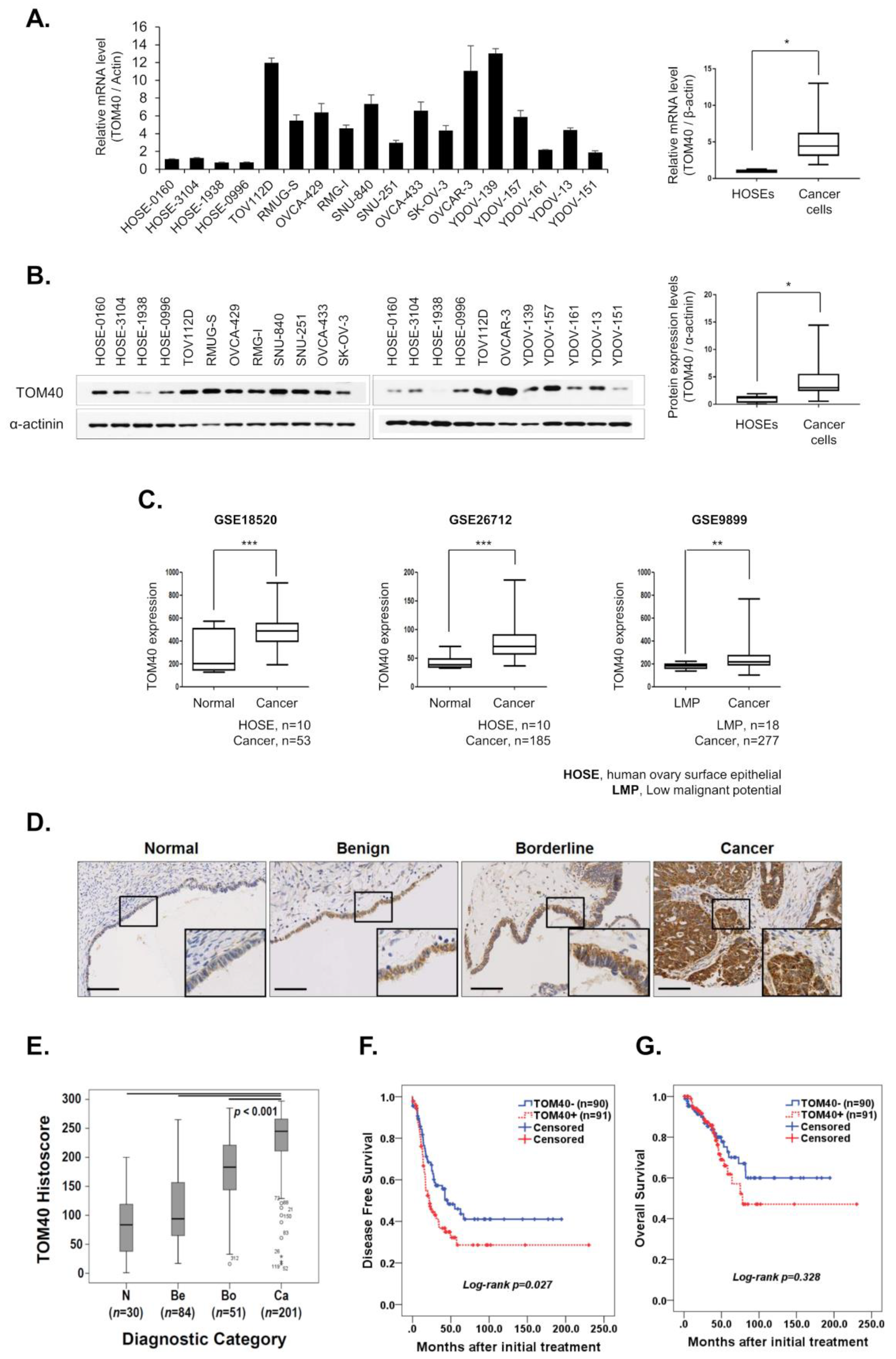 Cancers 12 01329 g001
