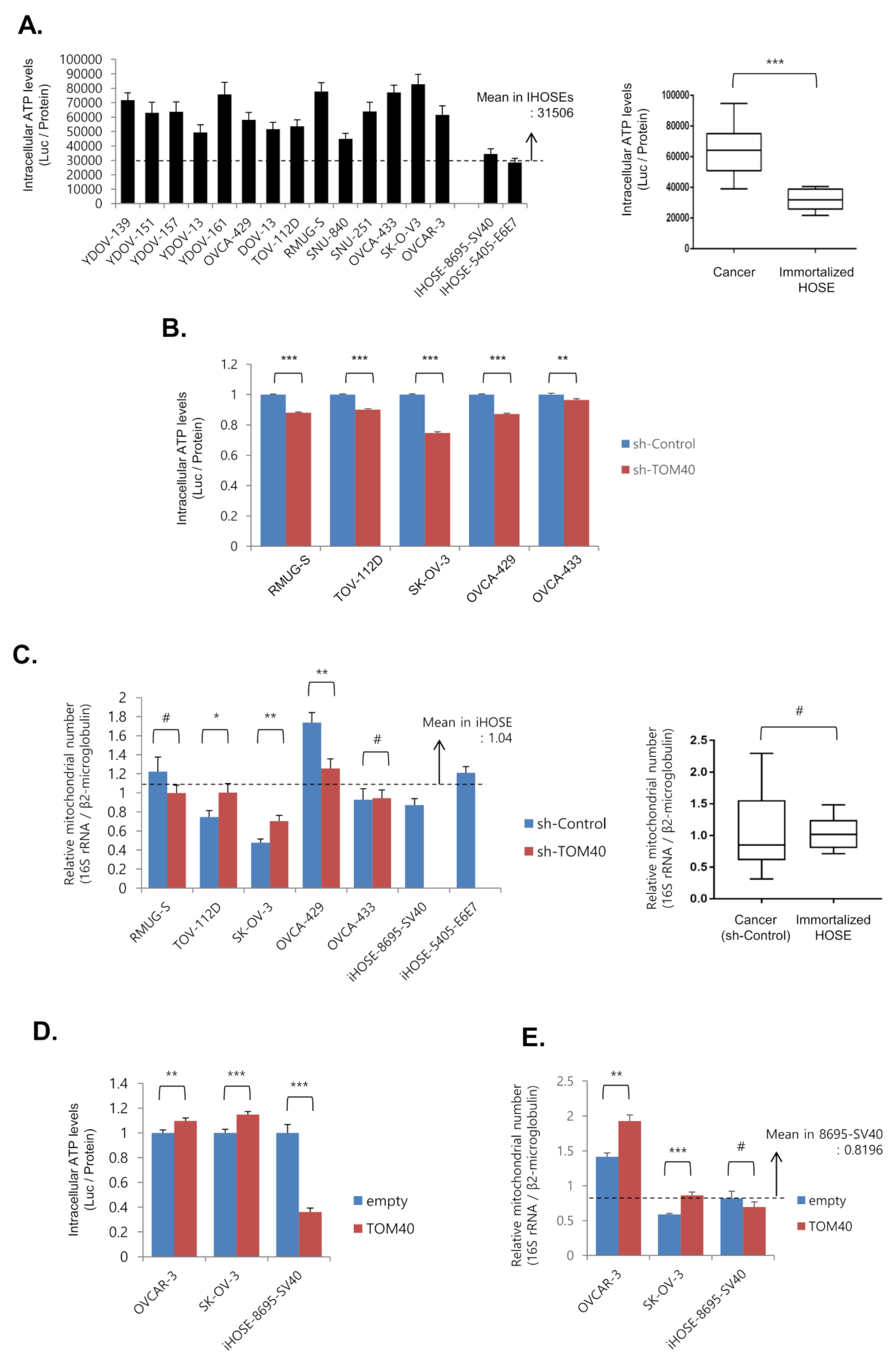 Cancers 12 01329 g003