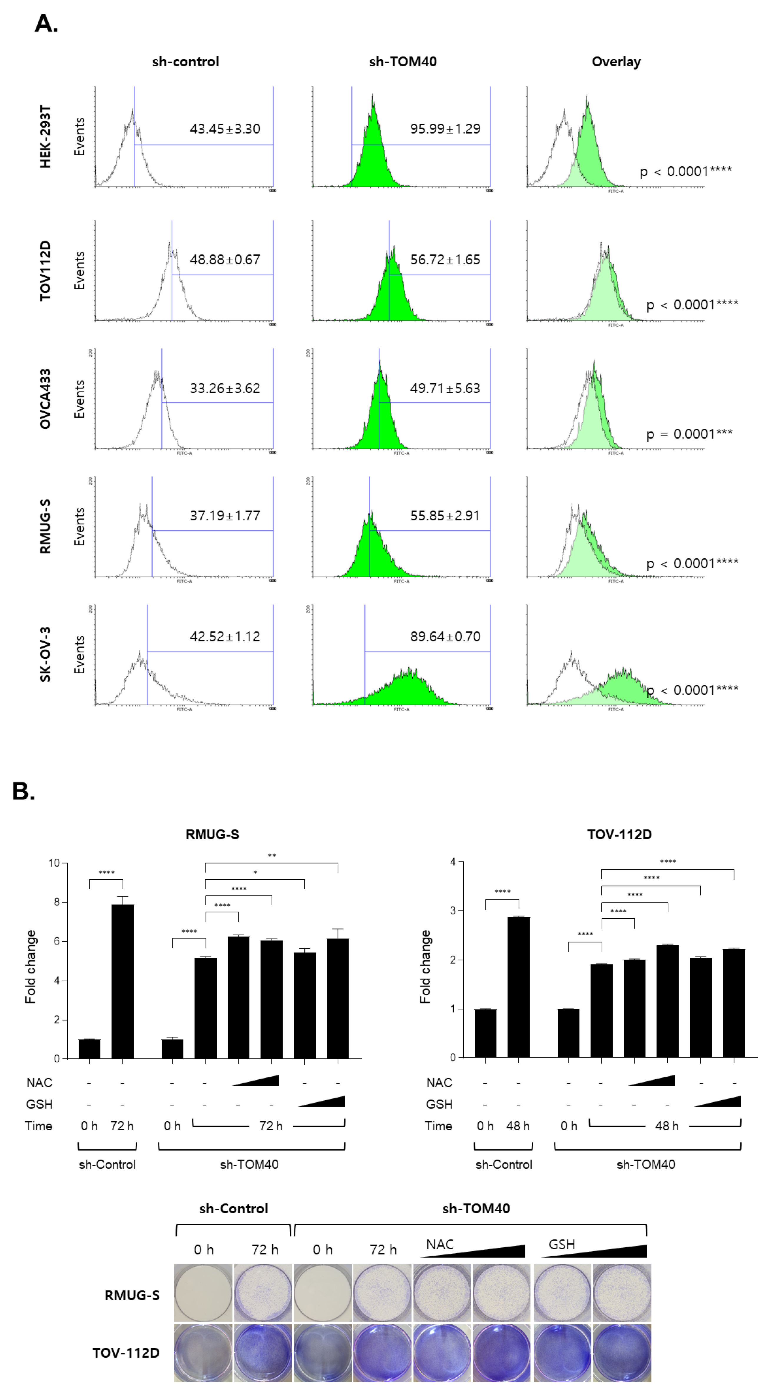 Cancers 12 01329 g005