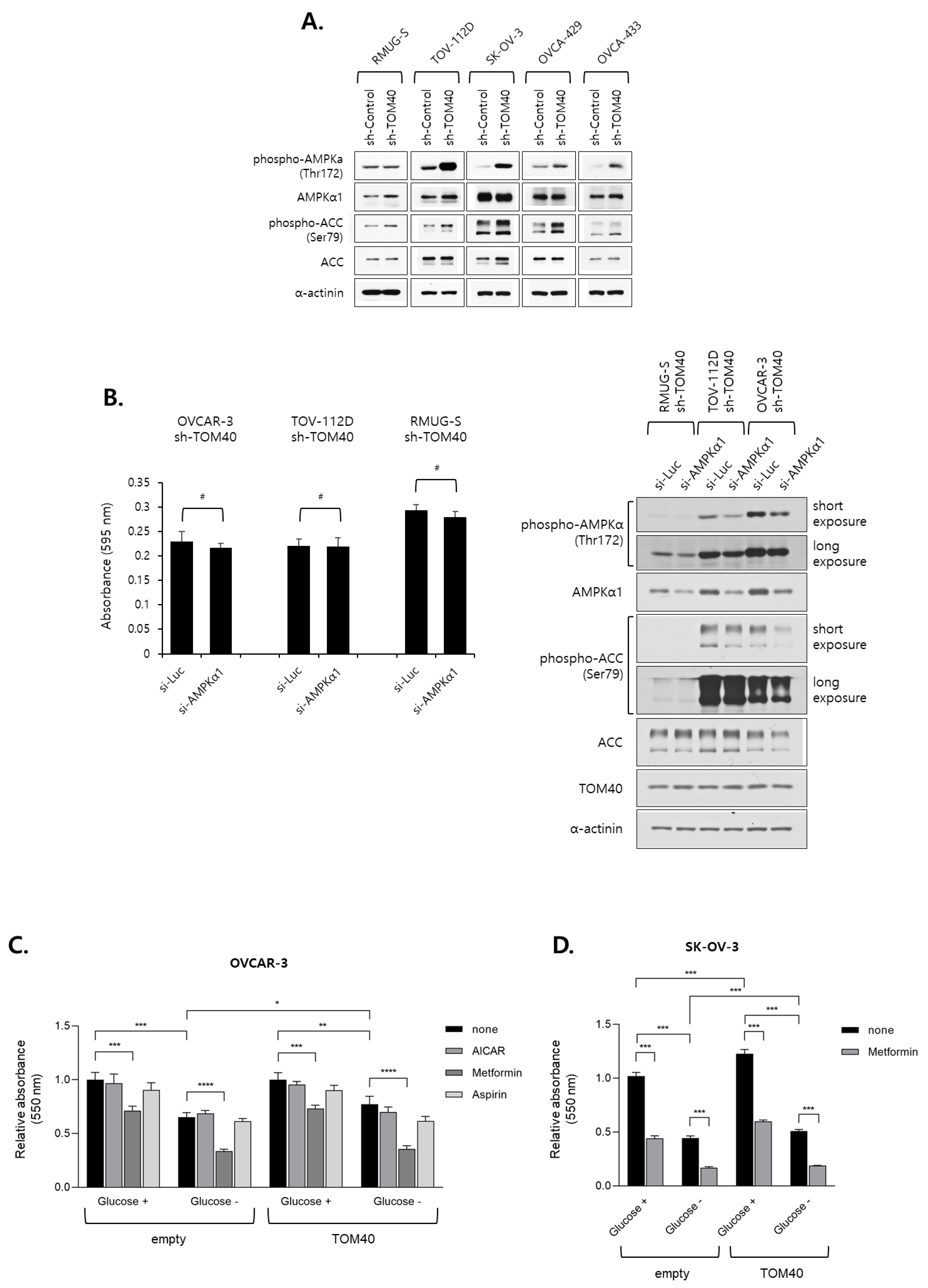 Cancers 12 01329 g006a