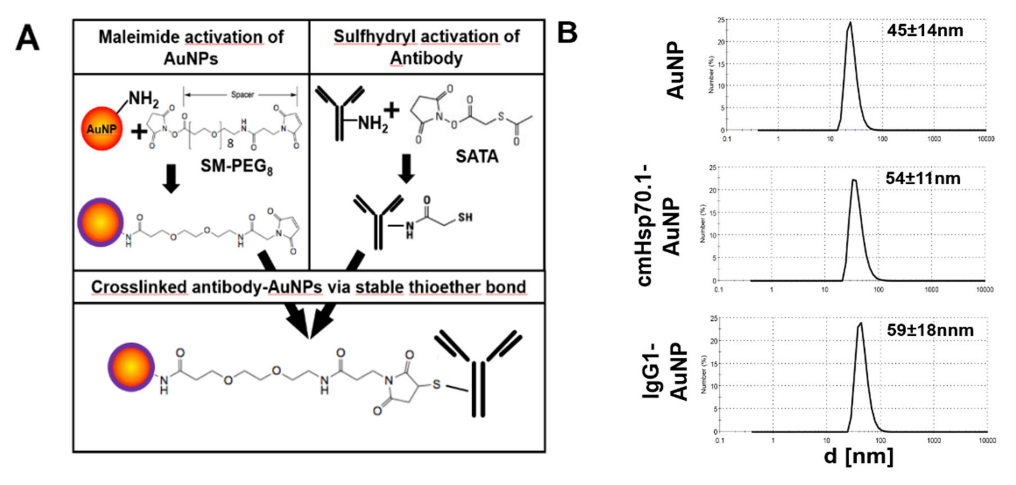 Cancers 12 01331 g001 Cancers 12 01331 g001