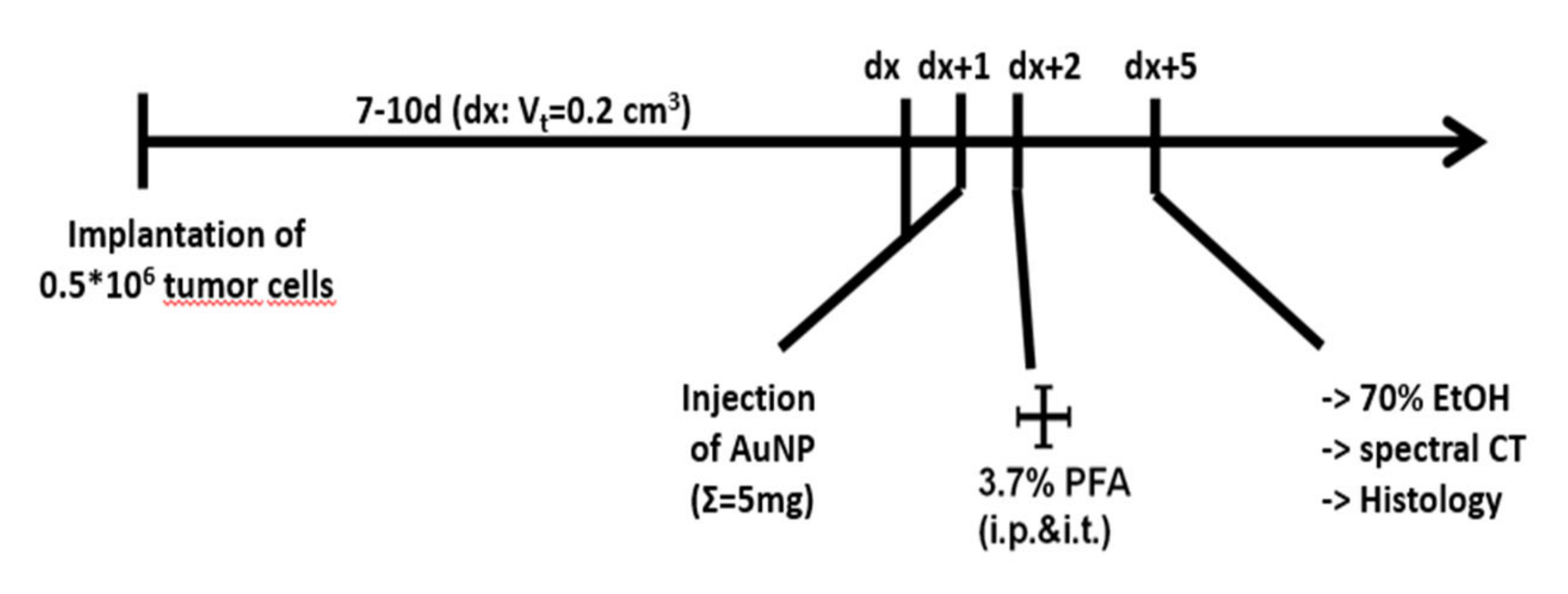 Cancers 12 01331 g004 Cancers 12 01331 g004