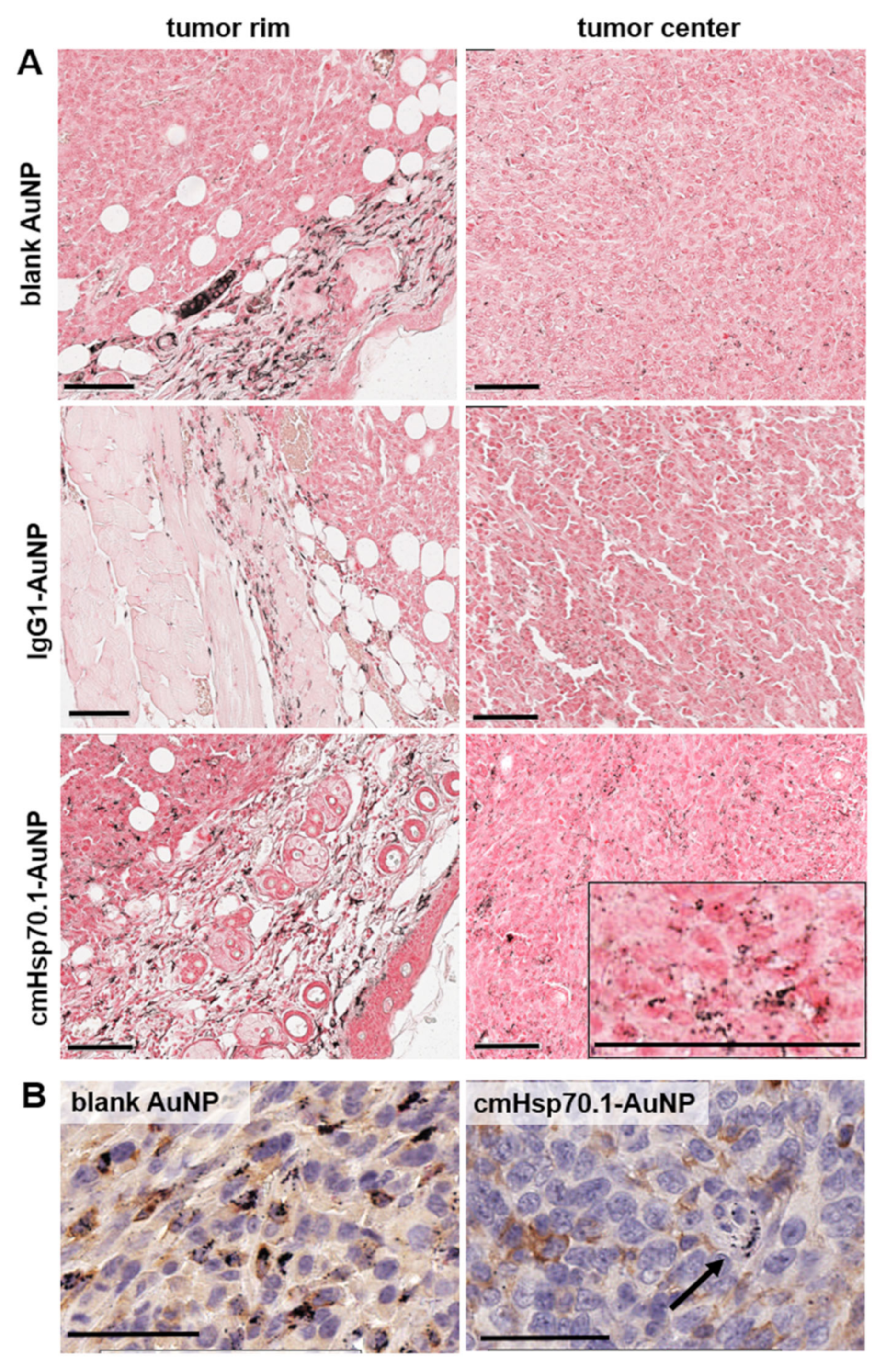 Cancers 12 01331 g007 Cancers 12 01331 g007