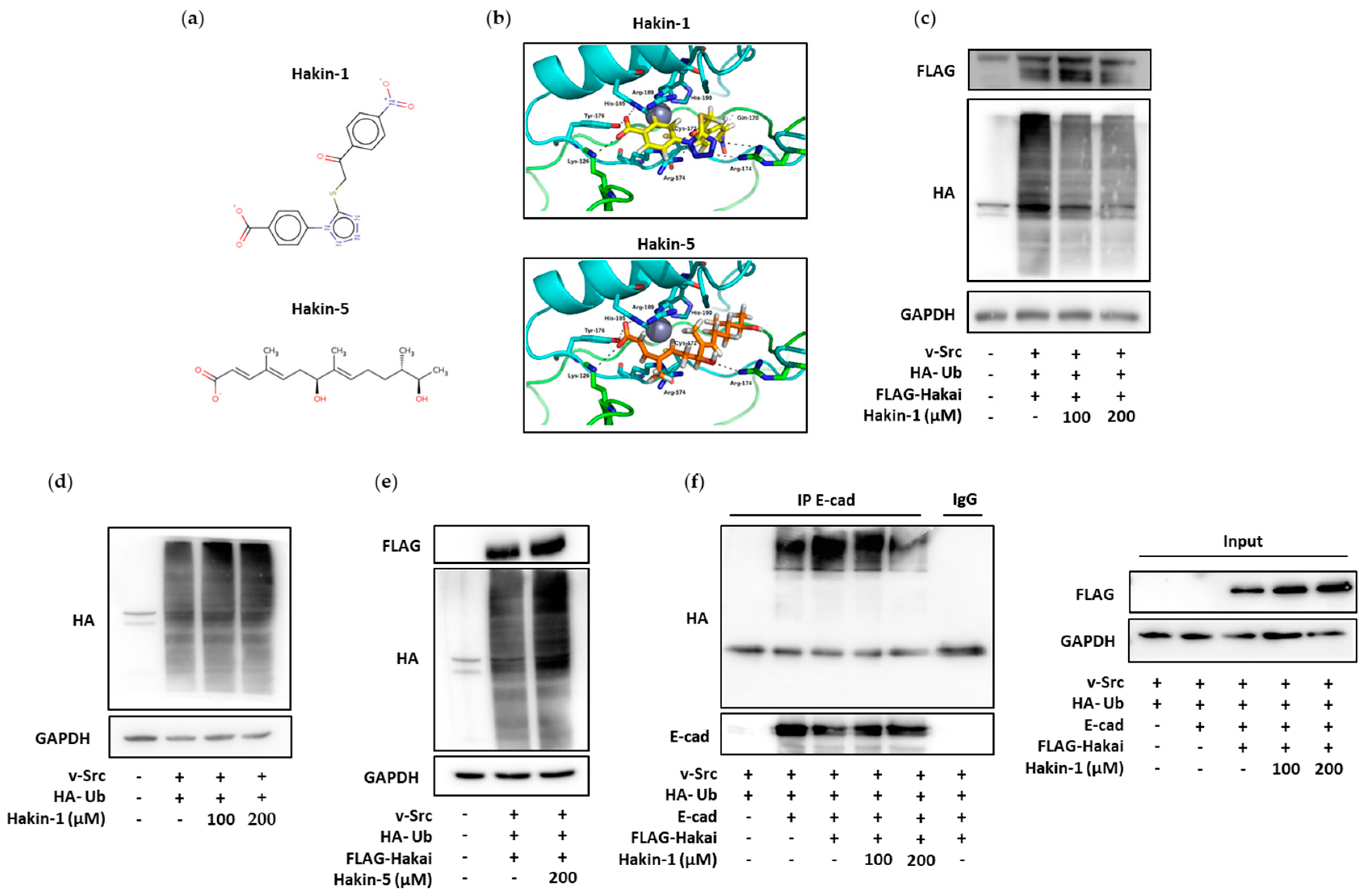 Cancers 12 01340 g001 Cancers 12 01340 g001