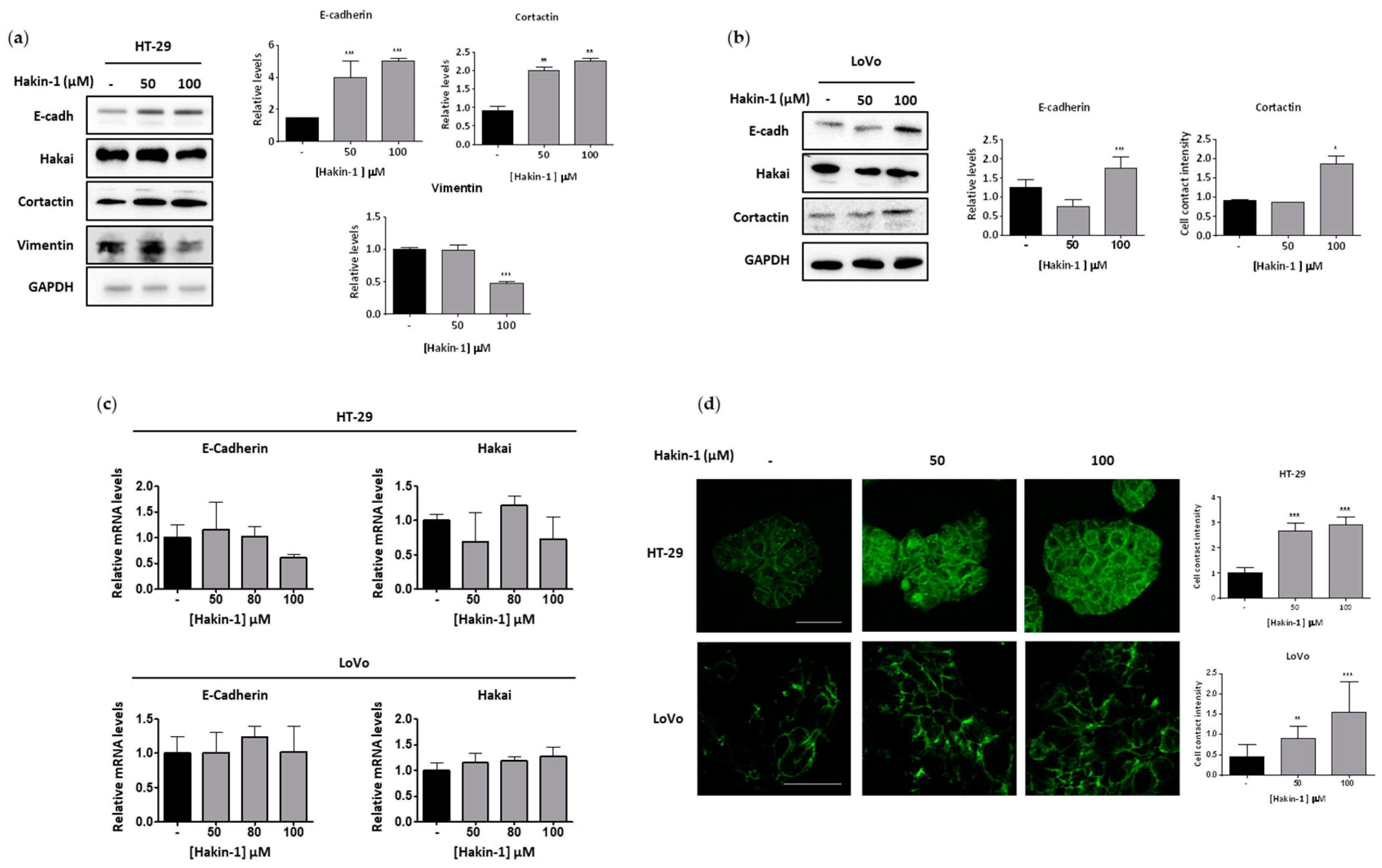 Cancers 12 01340 g003 Cancers 12 01340 g003