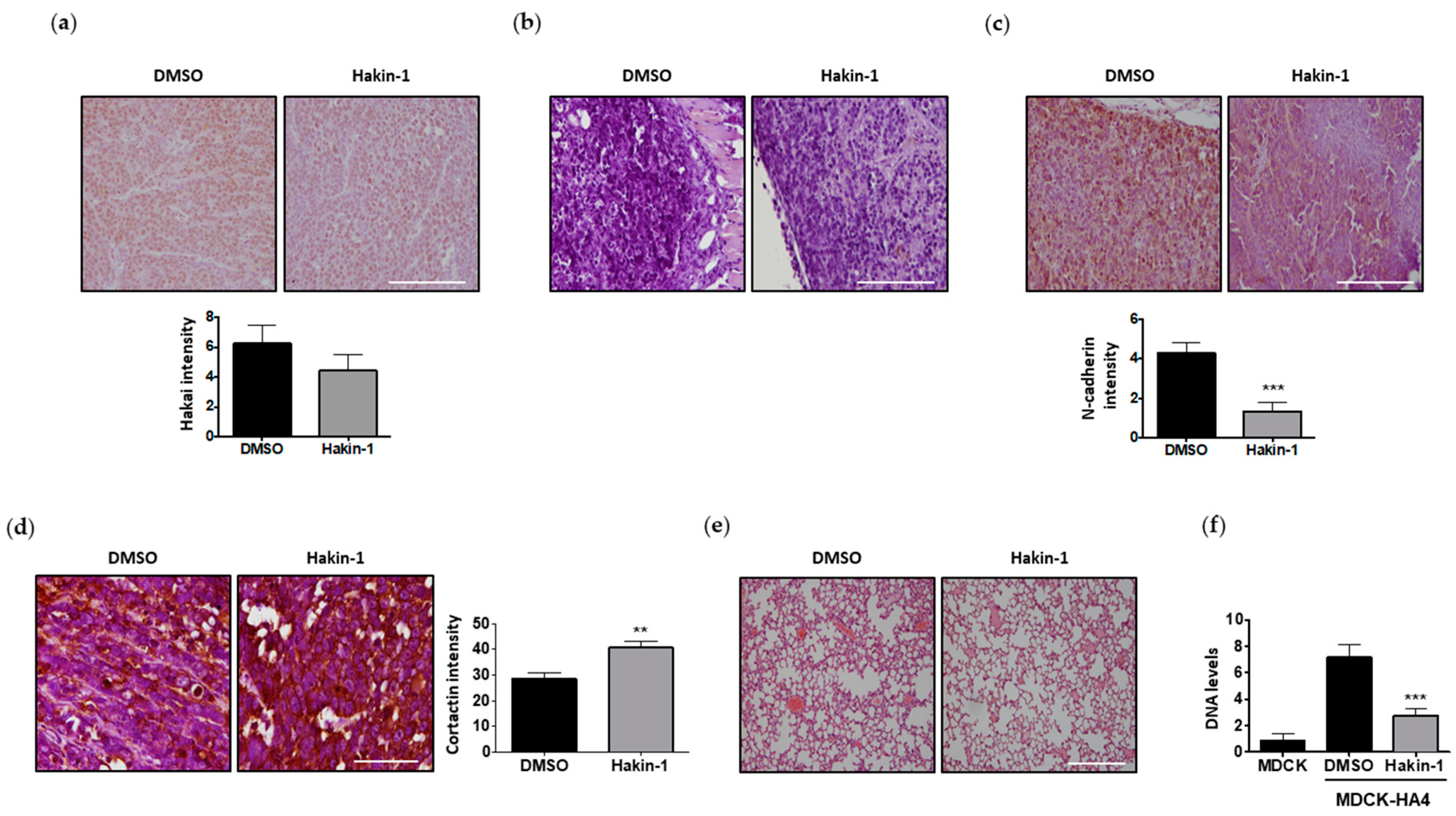 Cancers 12 01340 g007 Cancers 12 01340 g007