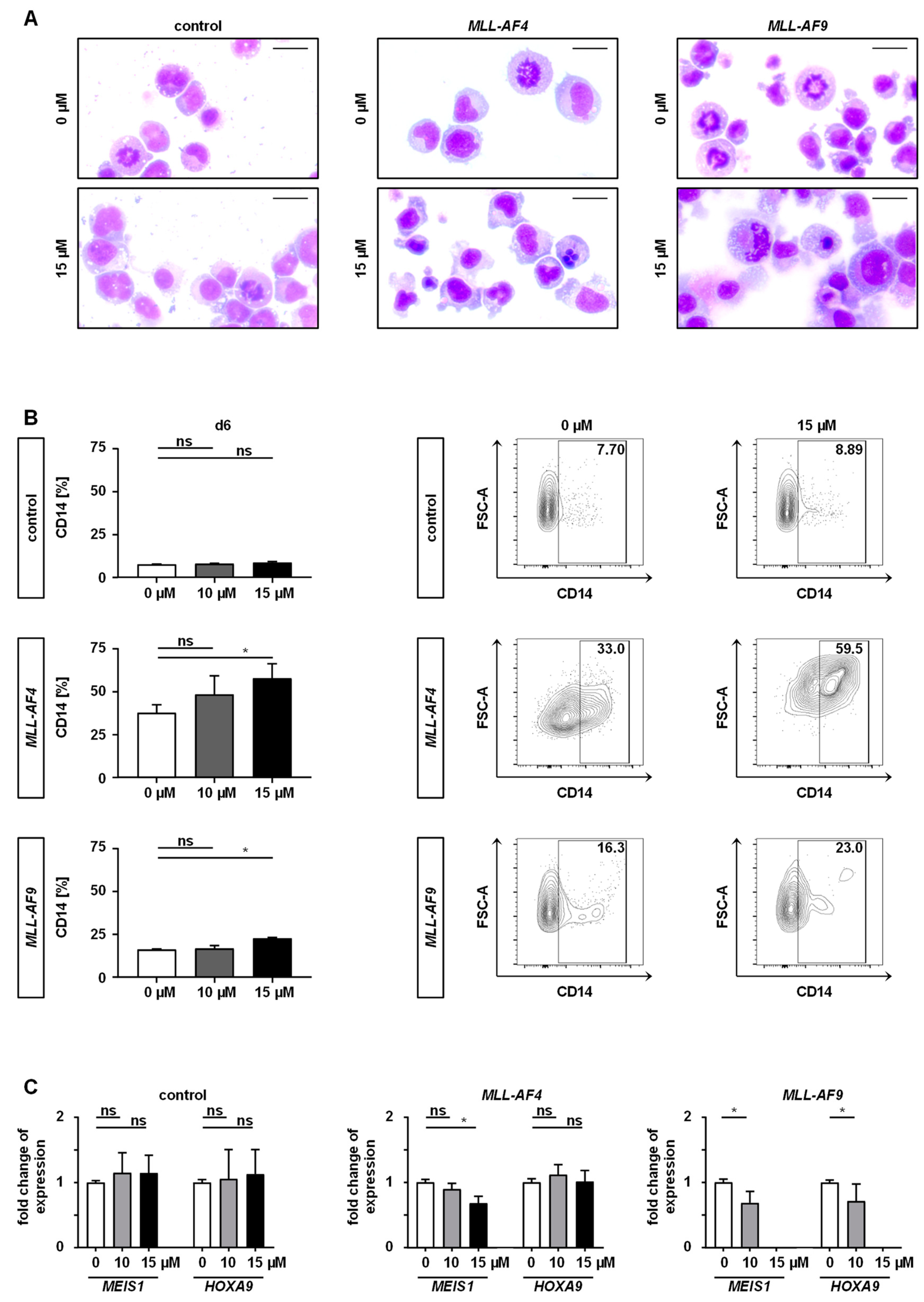 Cancers 12 01342 g004 Cancers 12 01342 g004