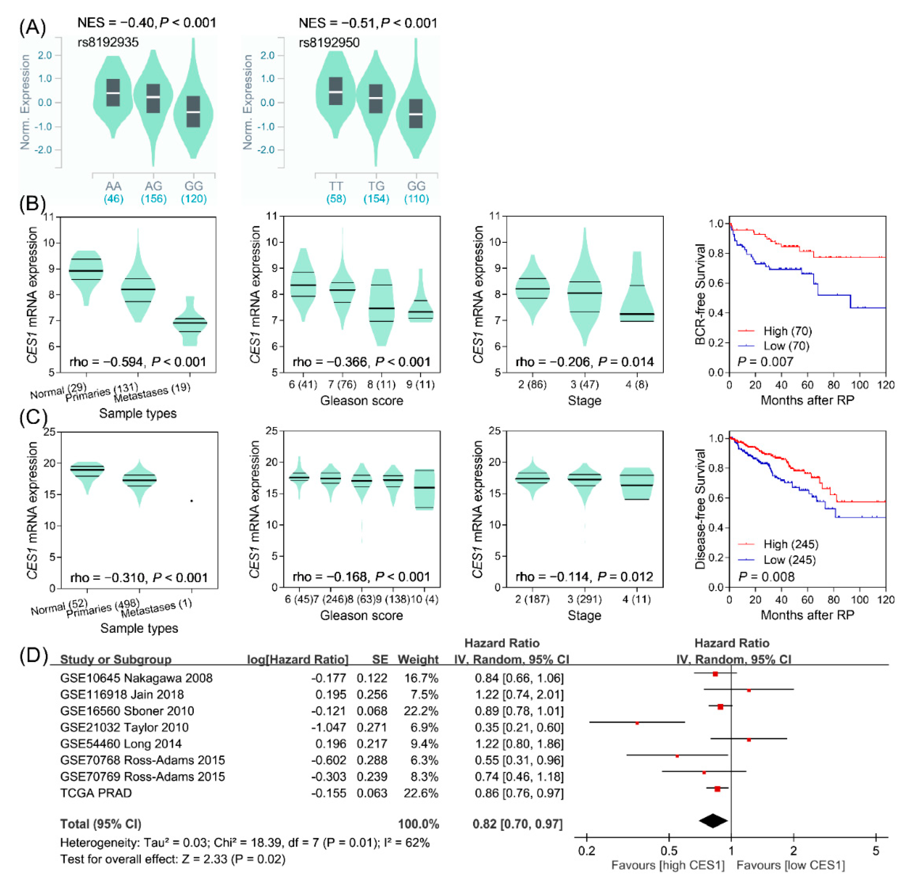 Cancers 12 01346 g002 Cancers 12 01346 g002