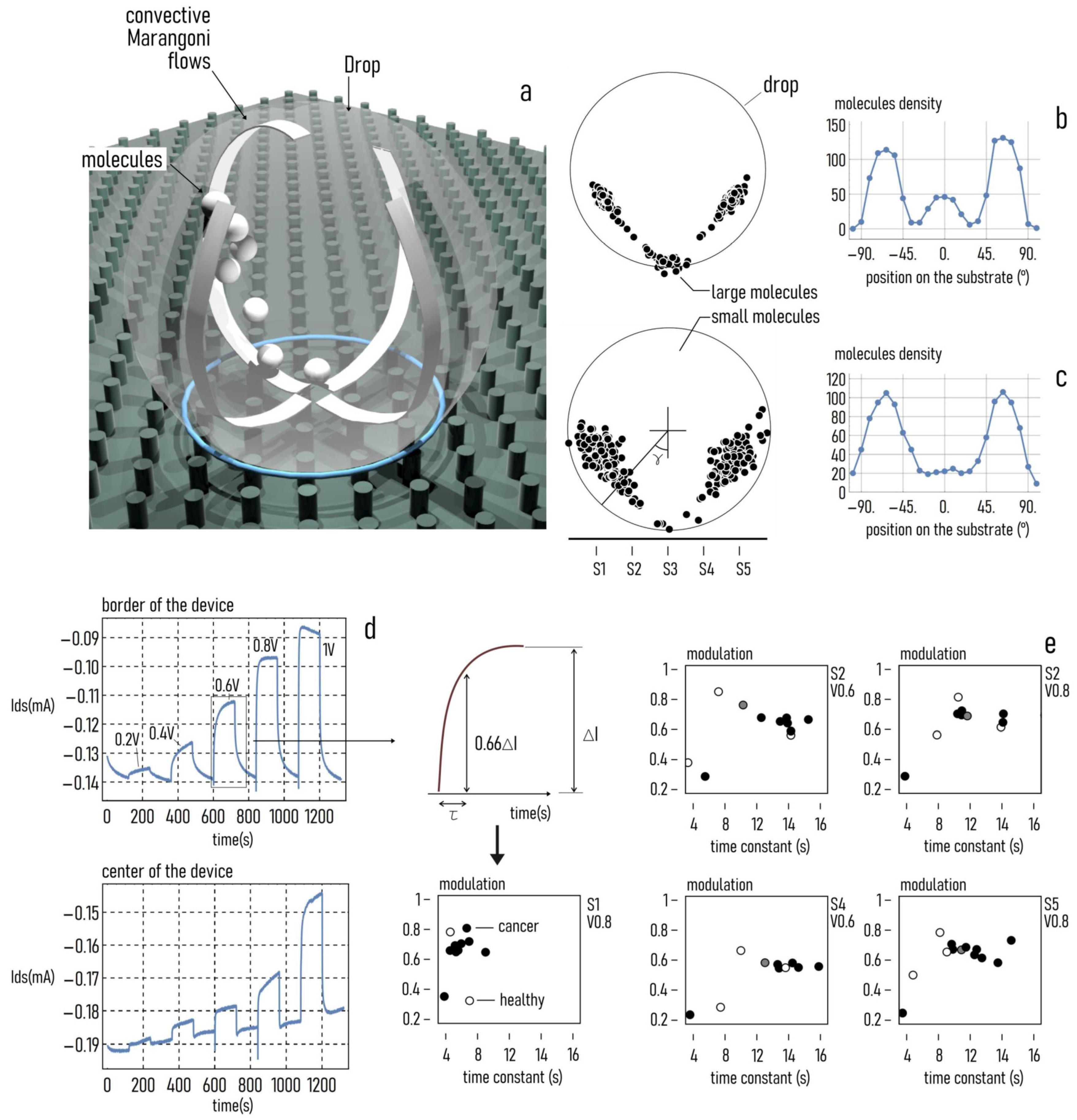 Cancers Free Full Text Tailoring Chemometric Models On Blood Derived Cultures Secretome To Assess Personalized Cancer Risk Score Html