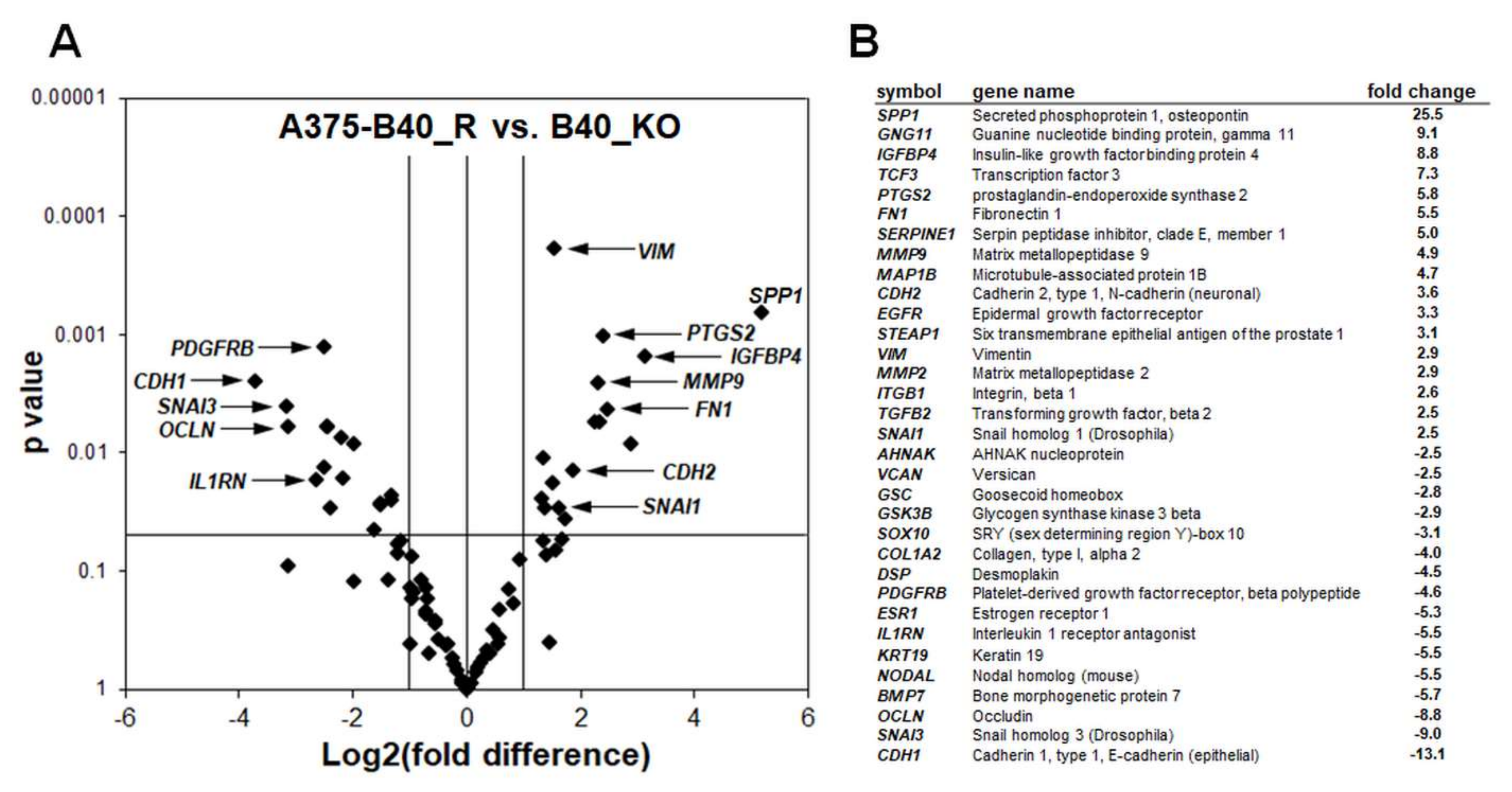 Cancers 12 01369 g007 Cancers 12 01369 g007