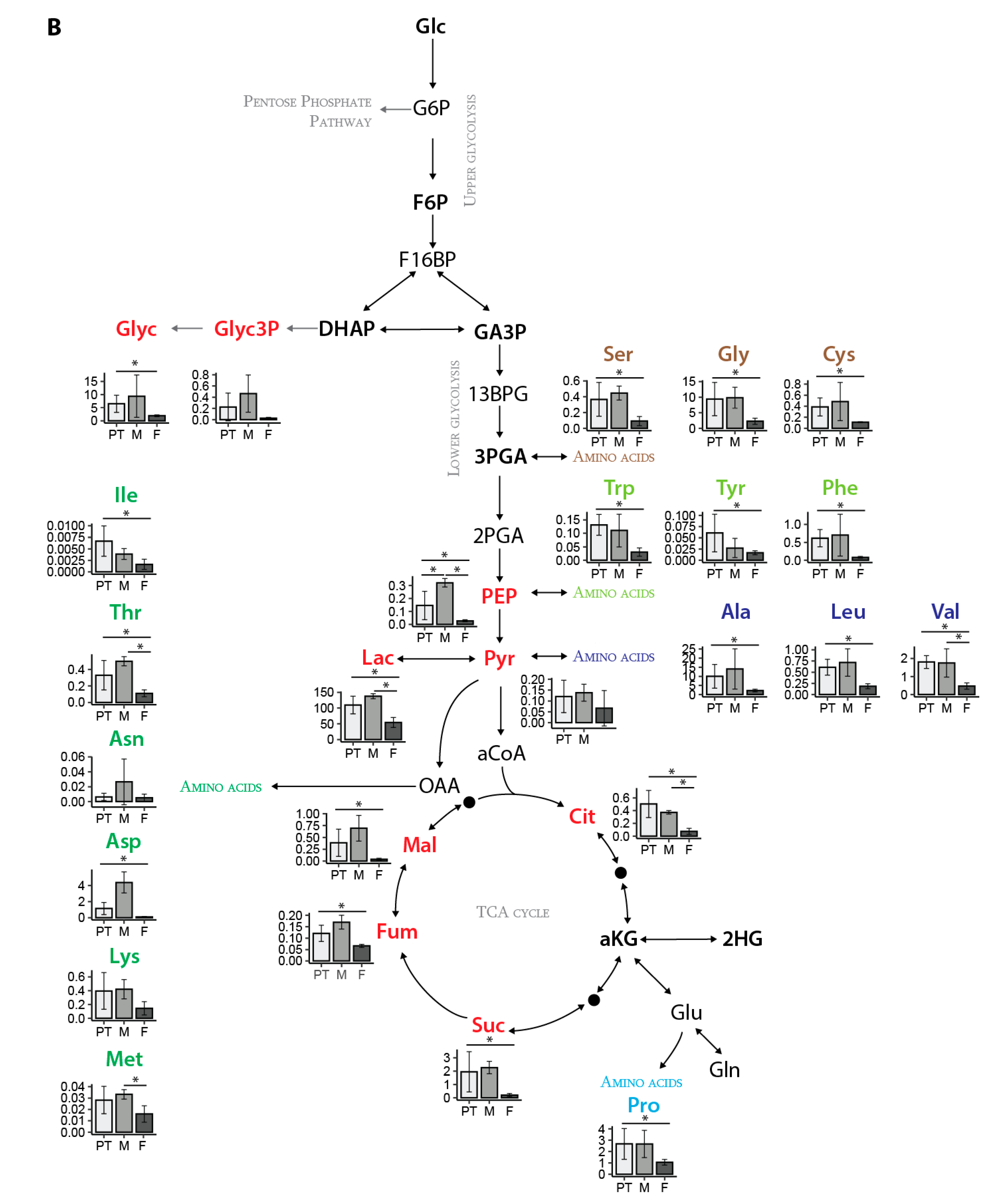 Cancers 12 01371 g005b