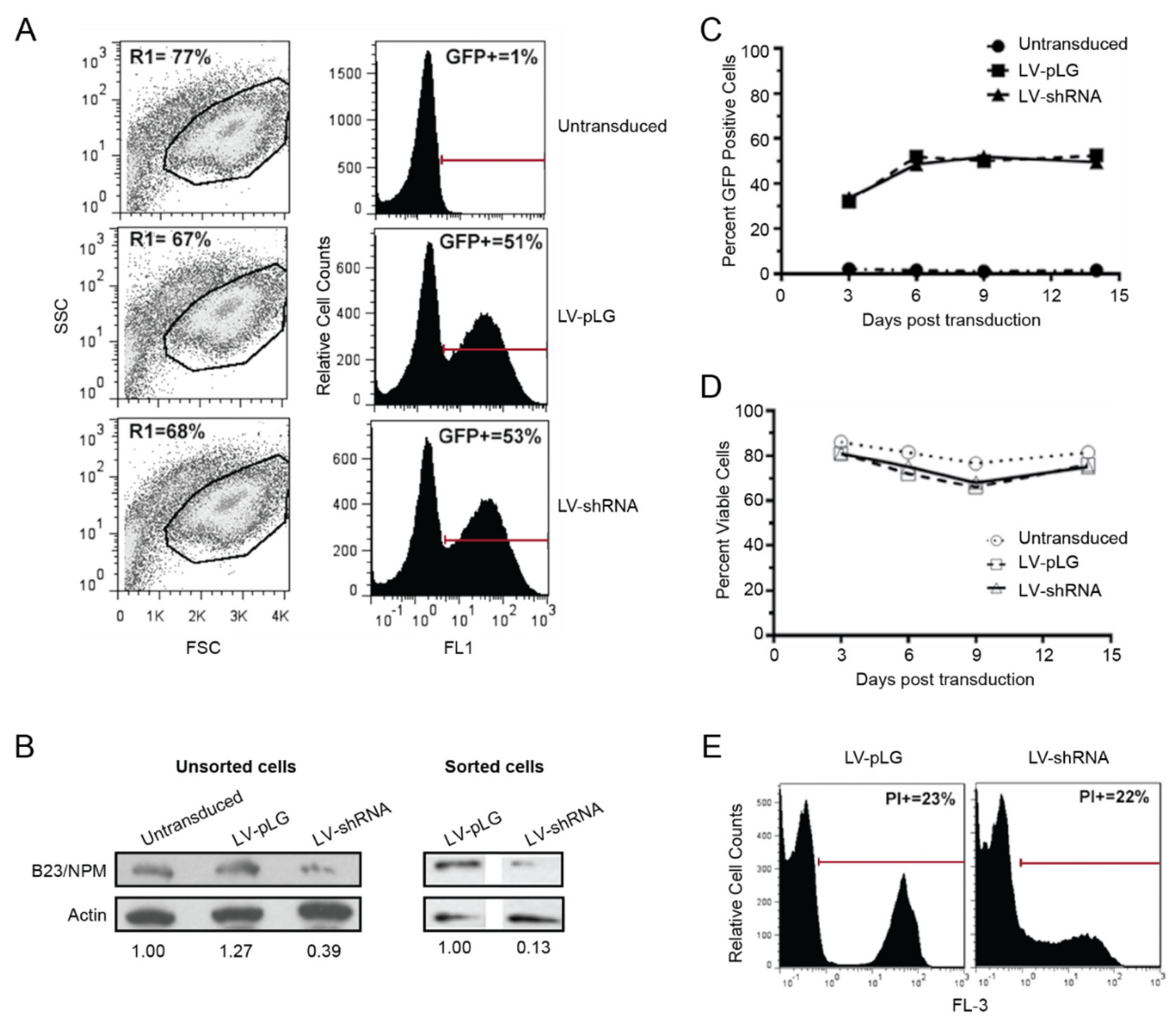 Cancers 12 01377 g003