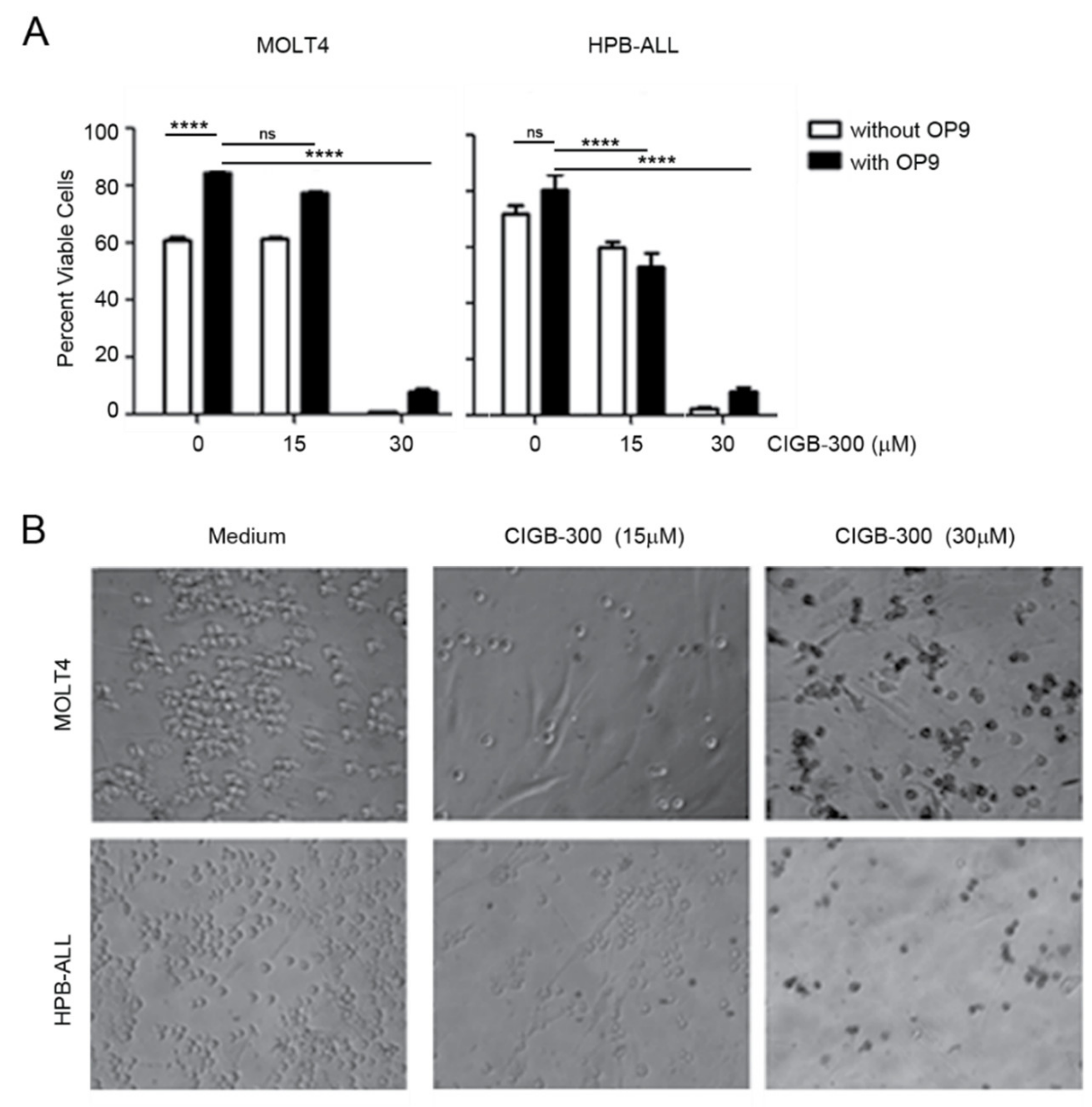 Cancers 12 01377 g005
