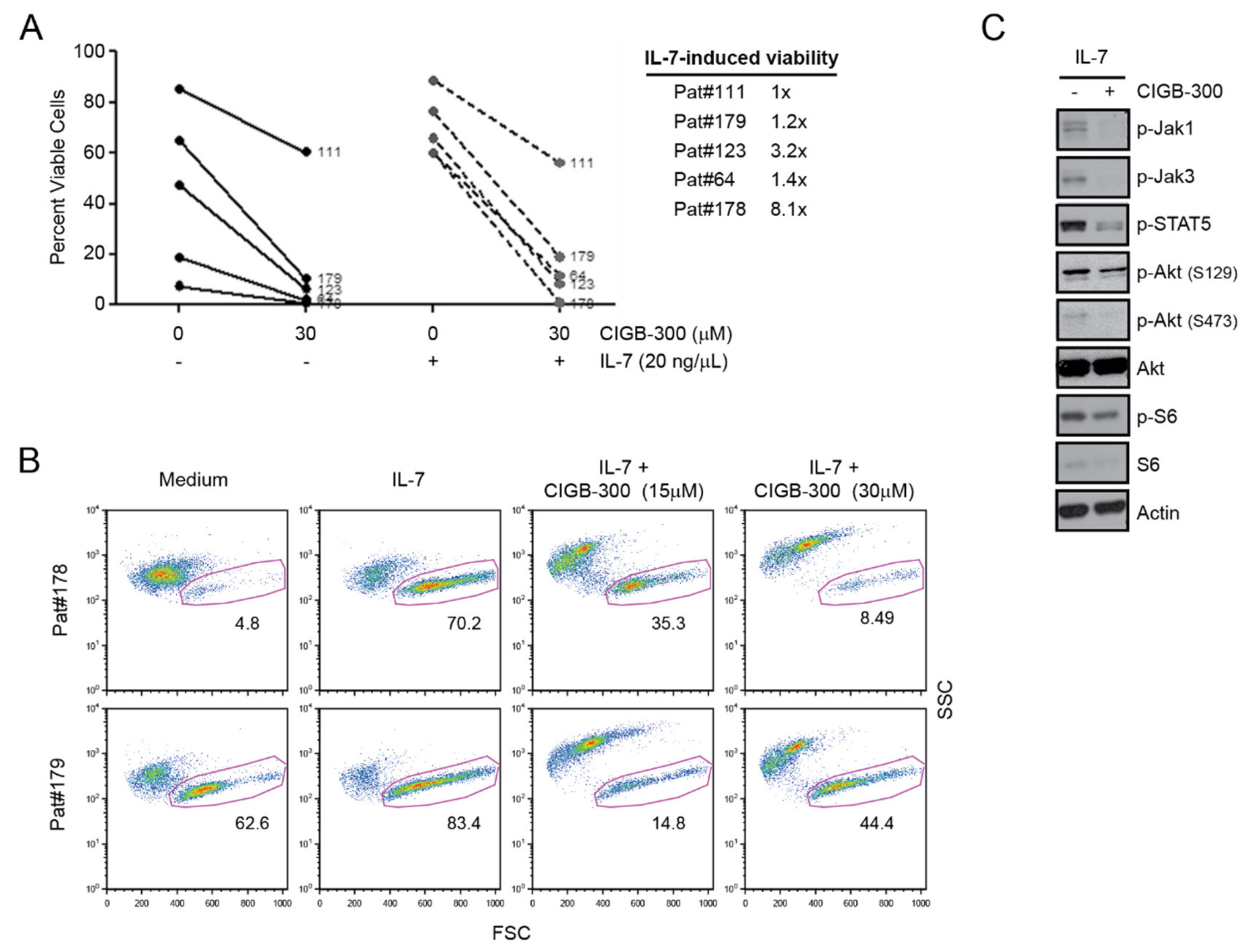 Cancers 12 01377 g006