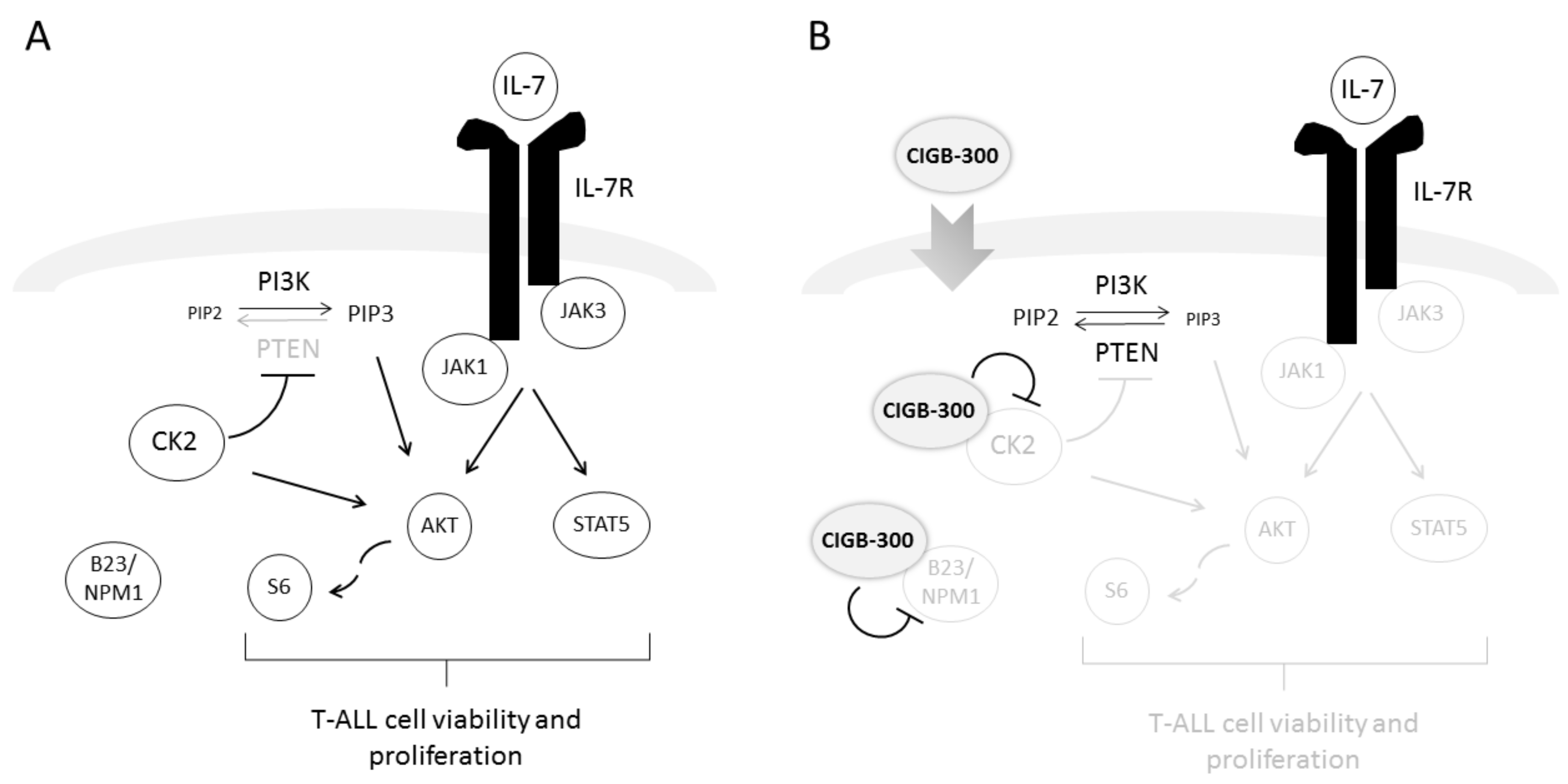Cancers 12 01377 g007