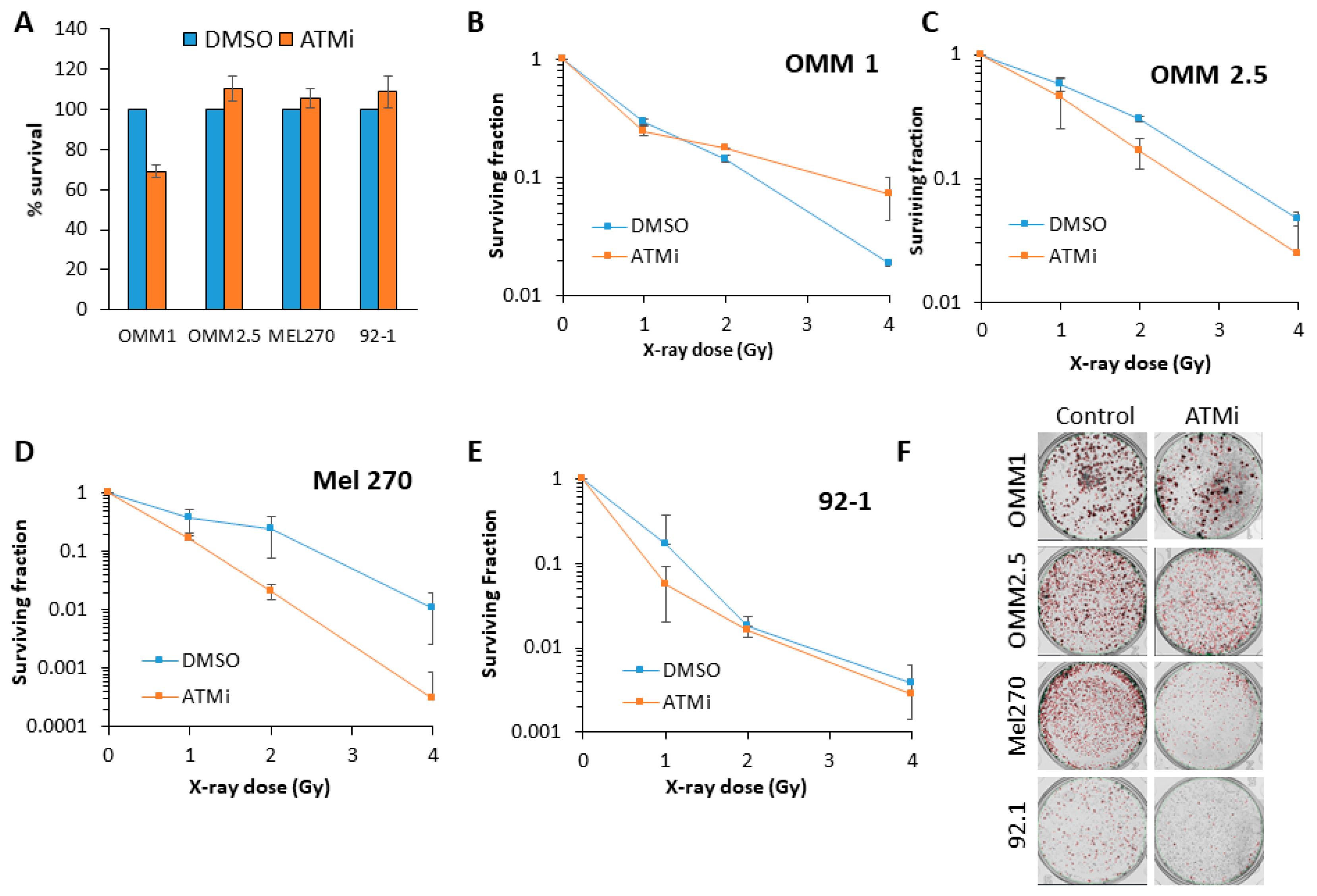 Cancers 12 01388 g003 Cancers 12 01388 g003