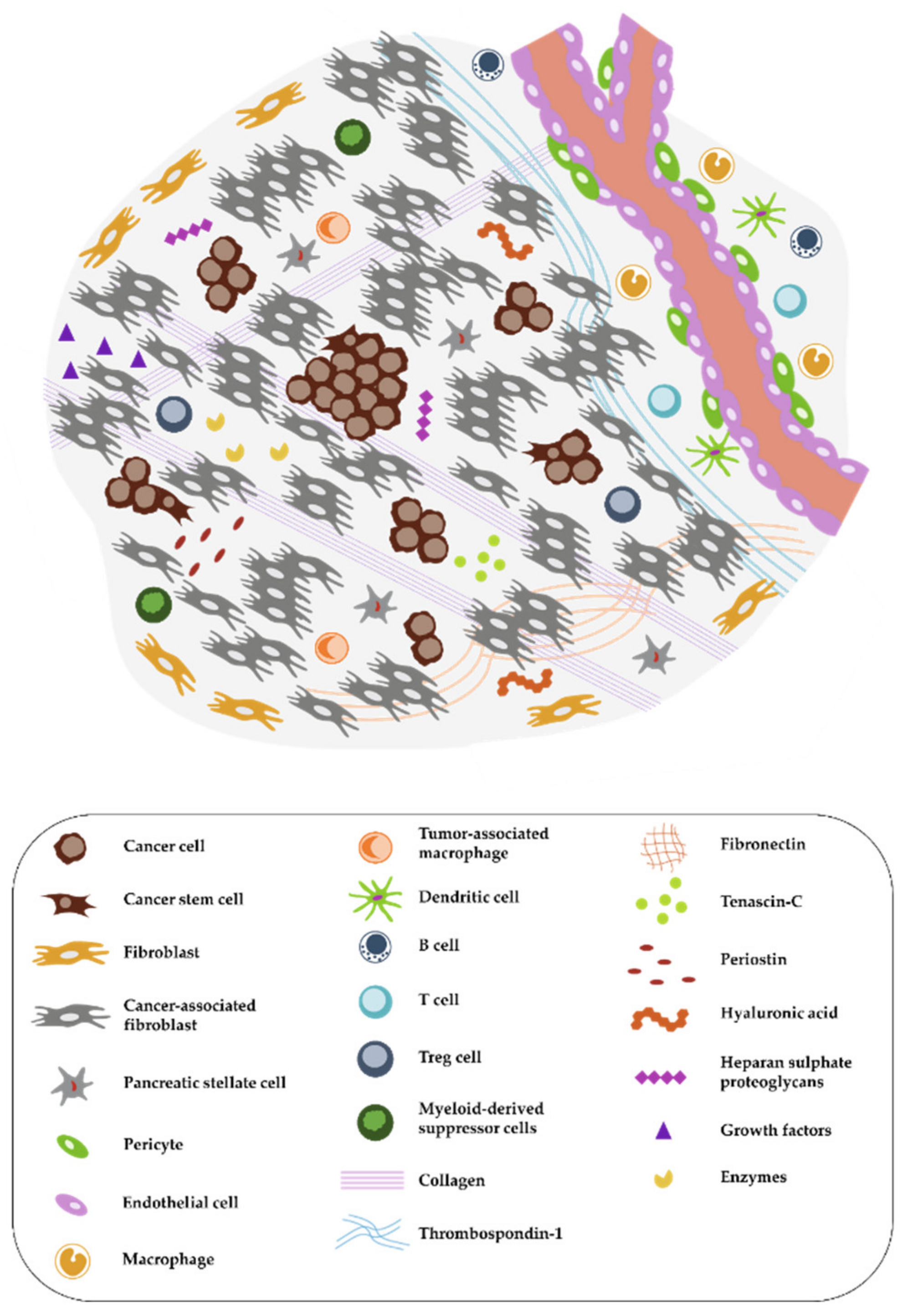 Cancers 12 01389 g001 Cancers 12 01389 g001