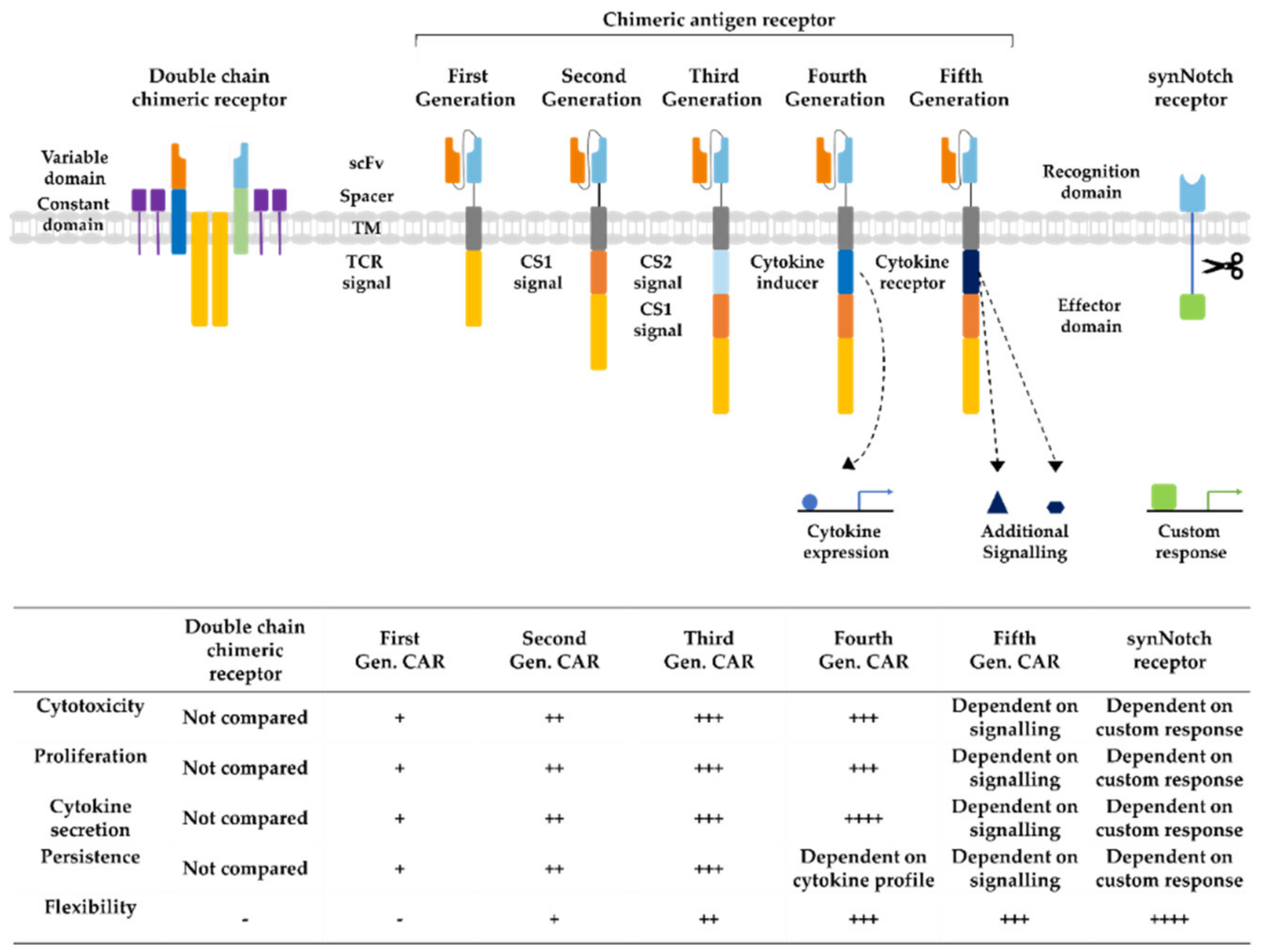 Cancers 12 01389 g003 Cancers 12 01389 g003