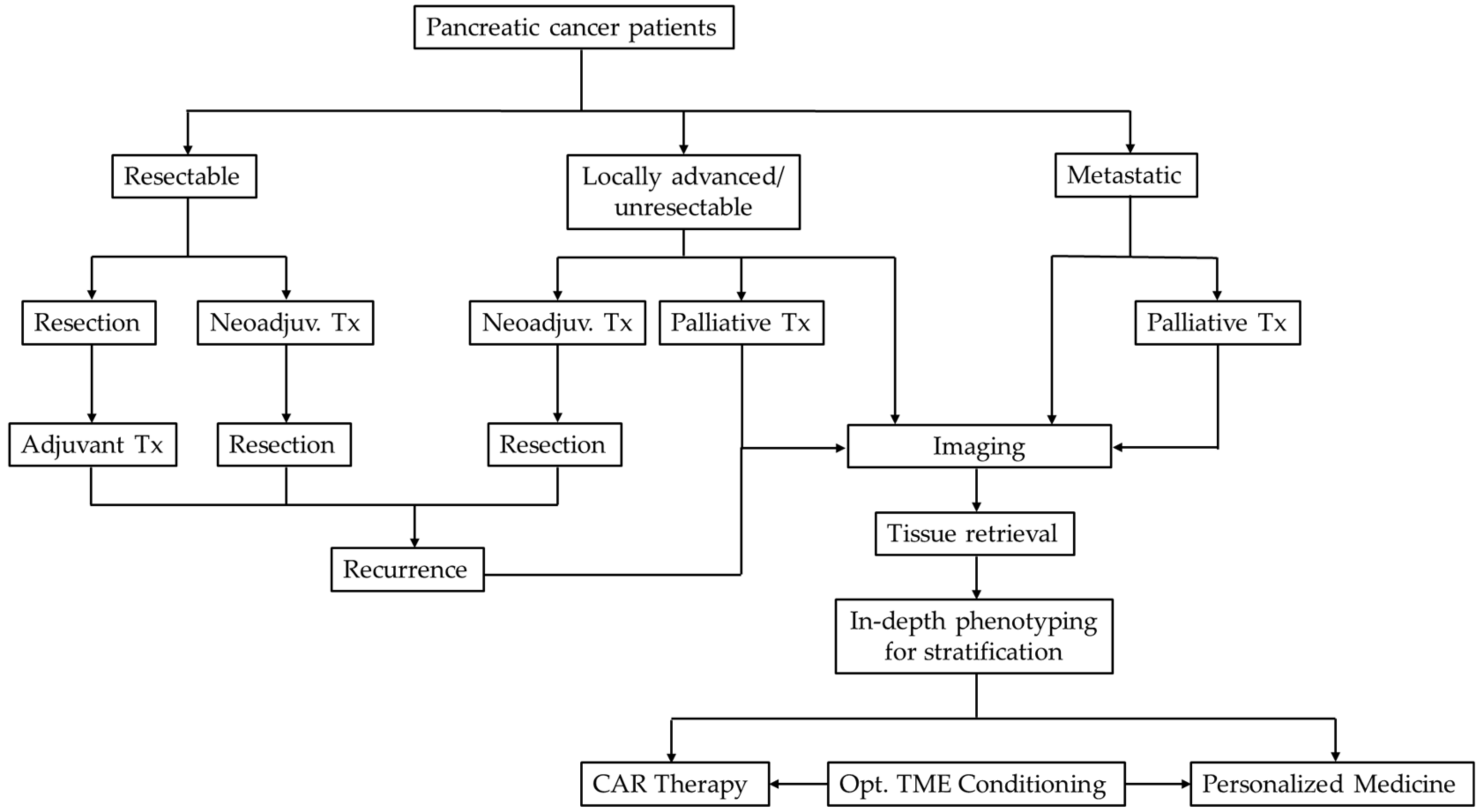 Cancers 12 01389 g005 Cancers 12 01389 g005