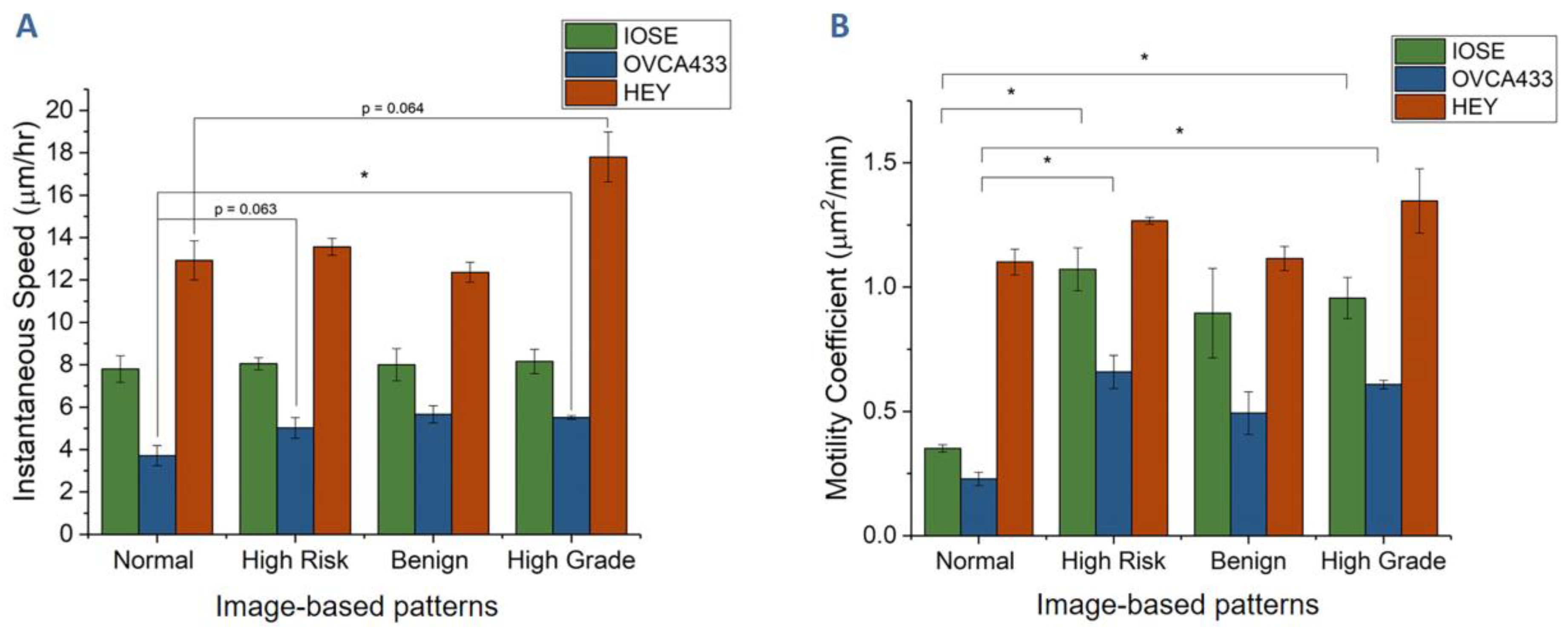 Cancers 12 01390 g004 Cancers 12 01390 g004