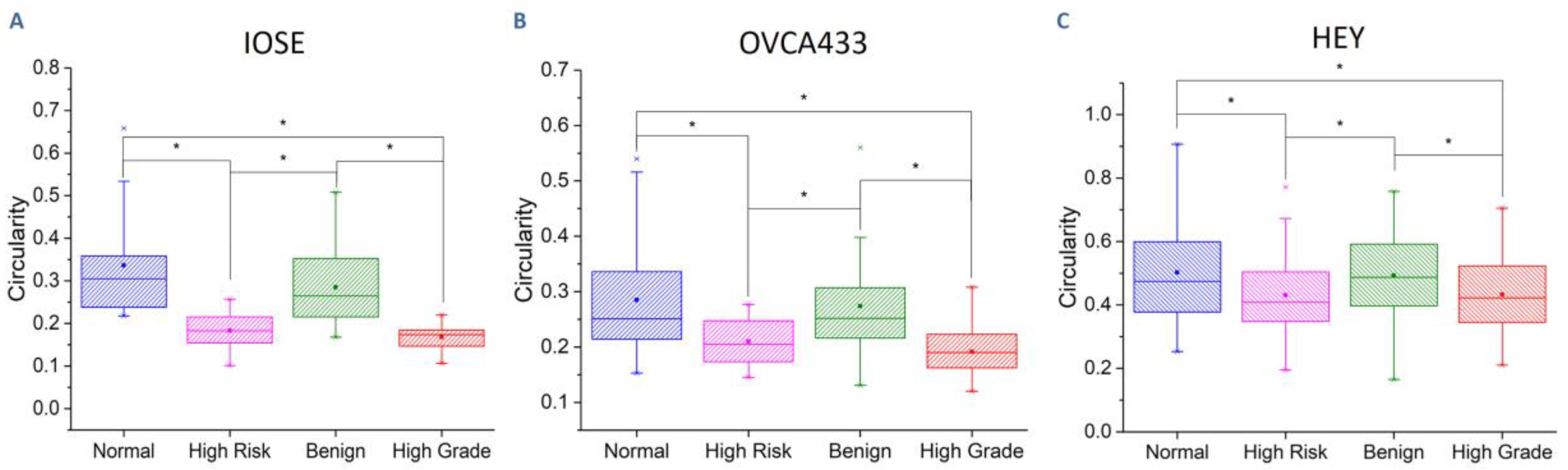 Cancers 12 01390 g005 Cancers 12 01390 g005