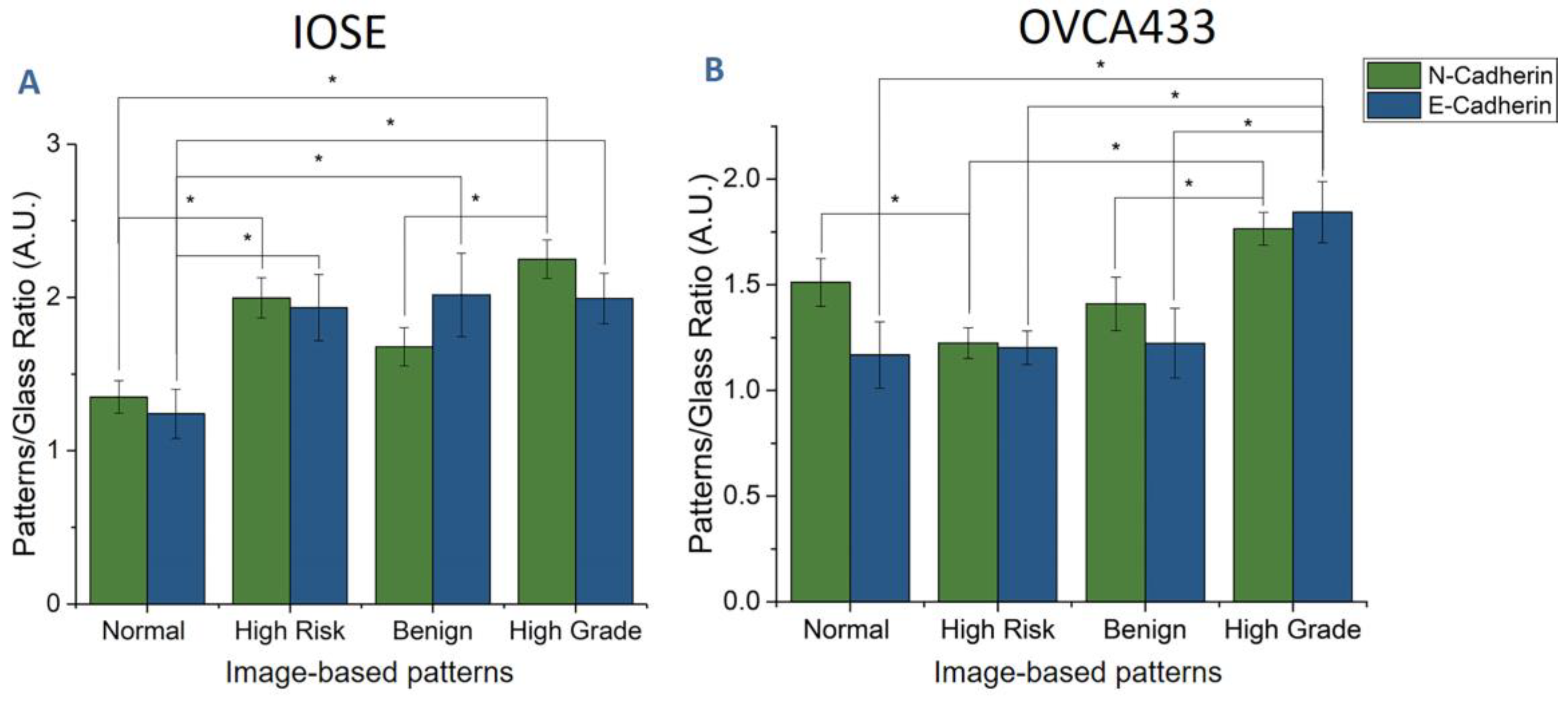 Cancers 12 01390 g011 Cancers 12 01390 g011
