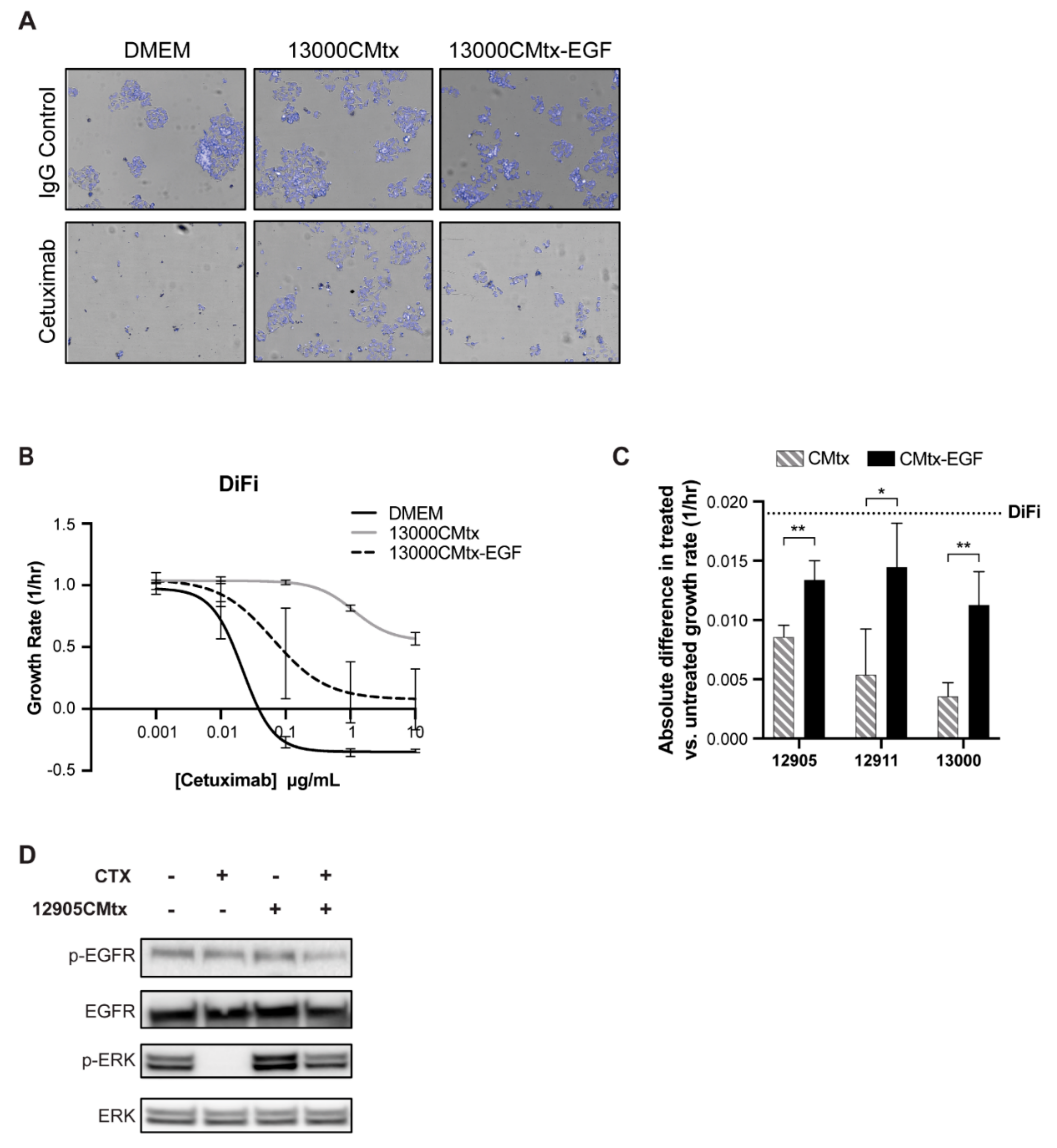 Cancers 12 01393 g005 Cancers 12 01393 g005