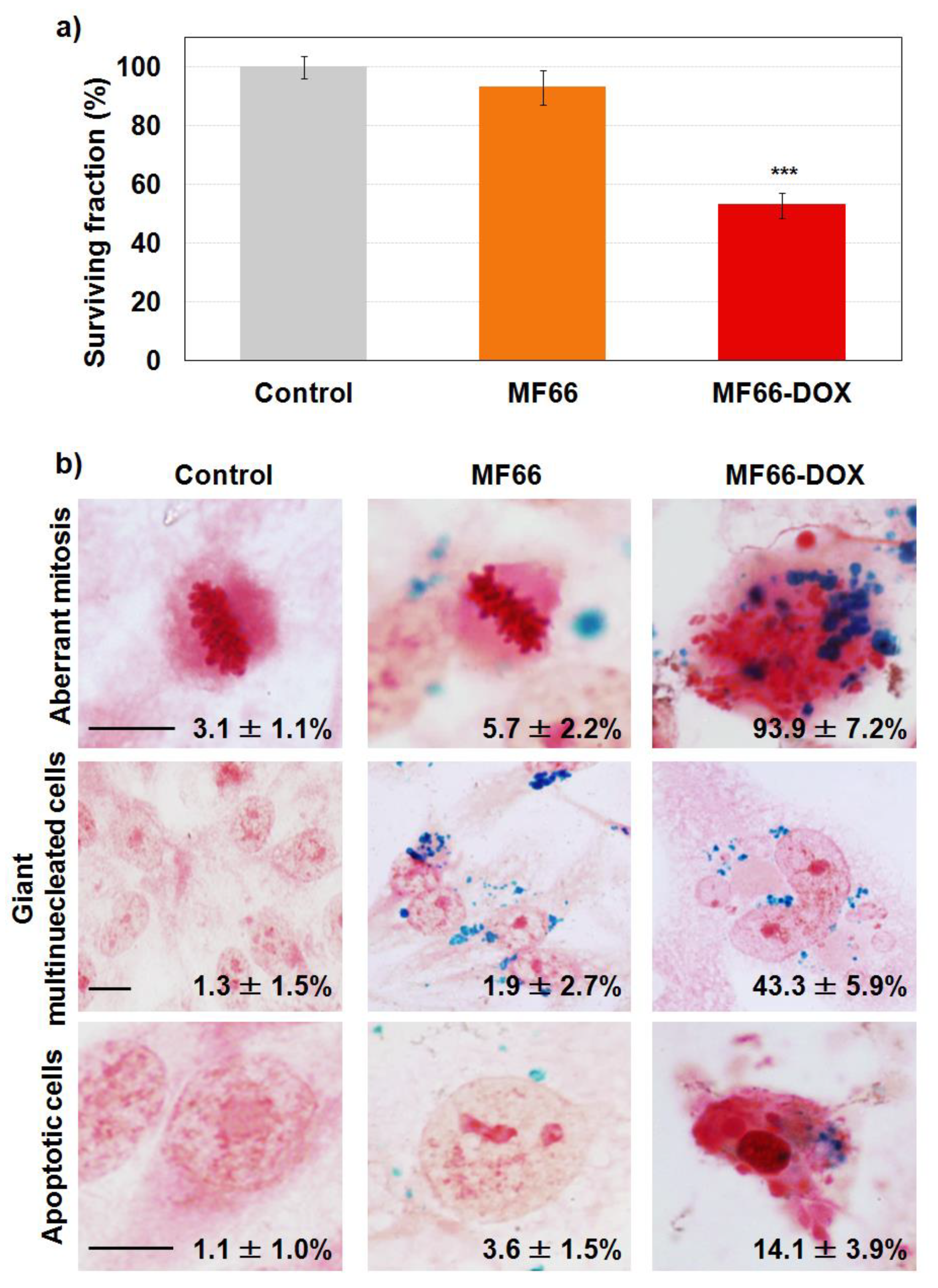 Cancers 12 01397 g002 Cancers 12 01397 g002