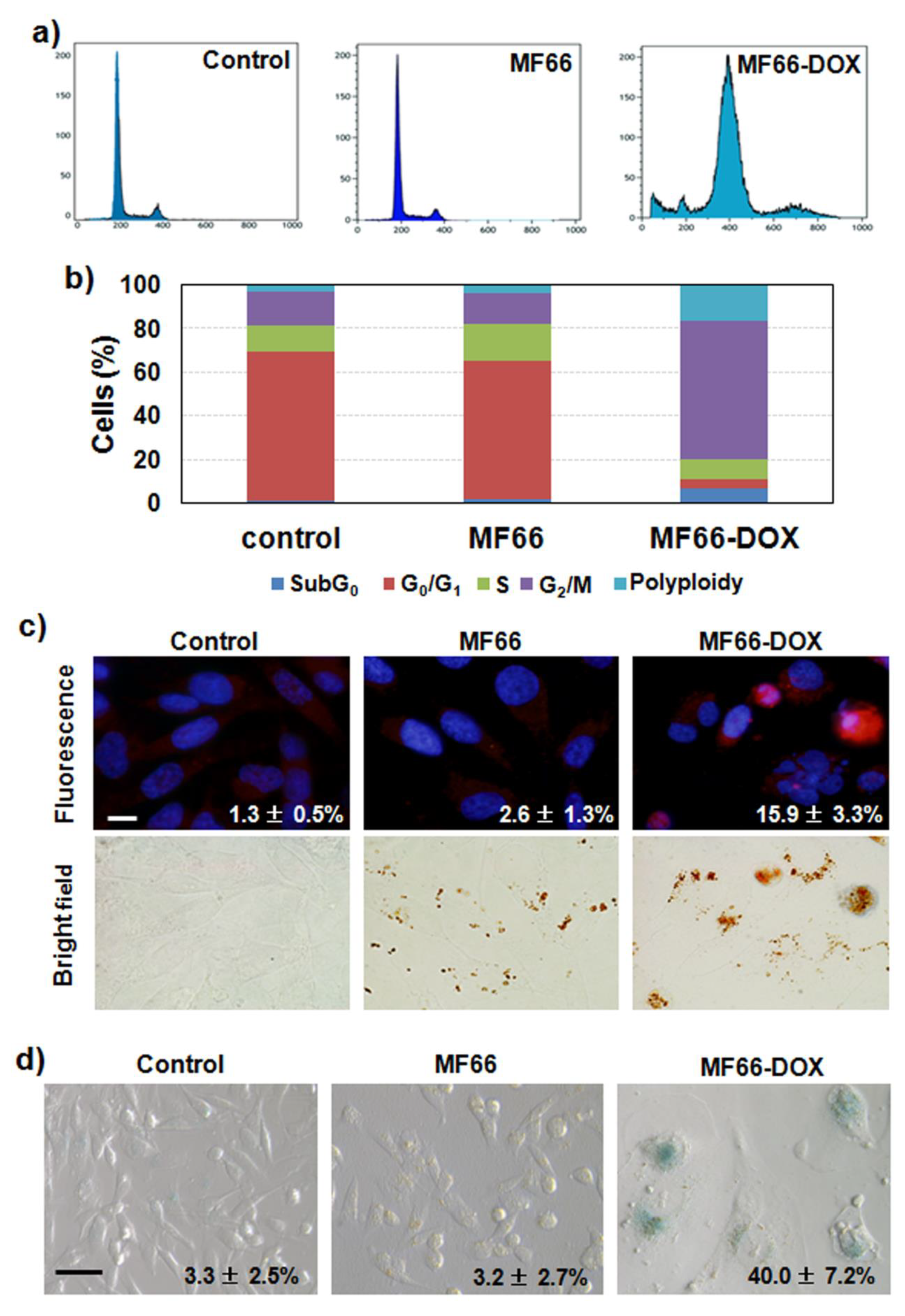 Cancers 12 01397 g003 Cancers 12 01397 g003