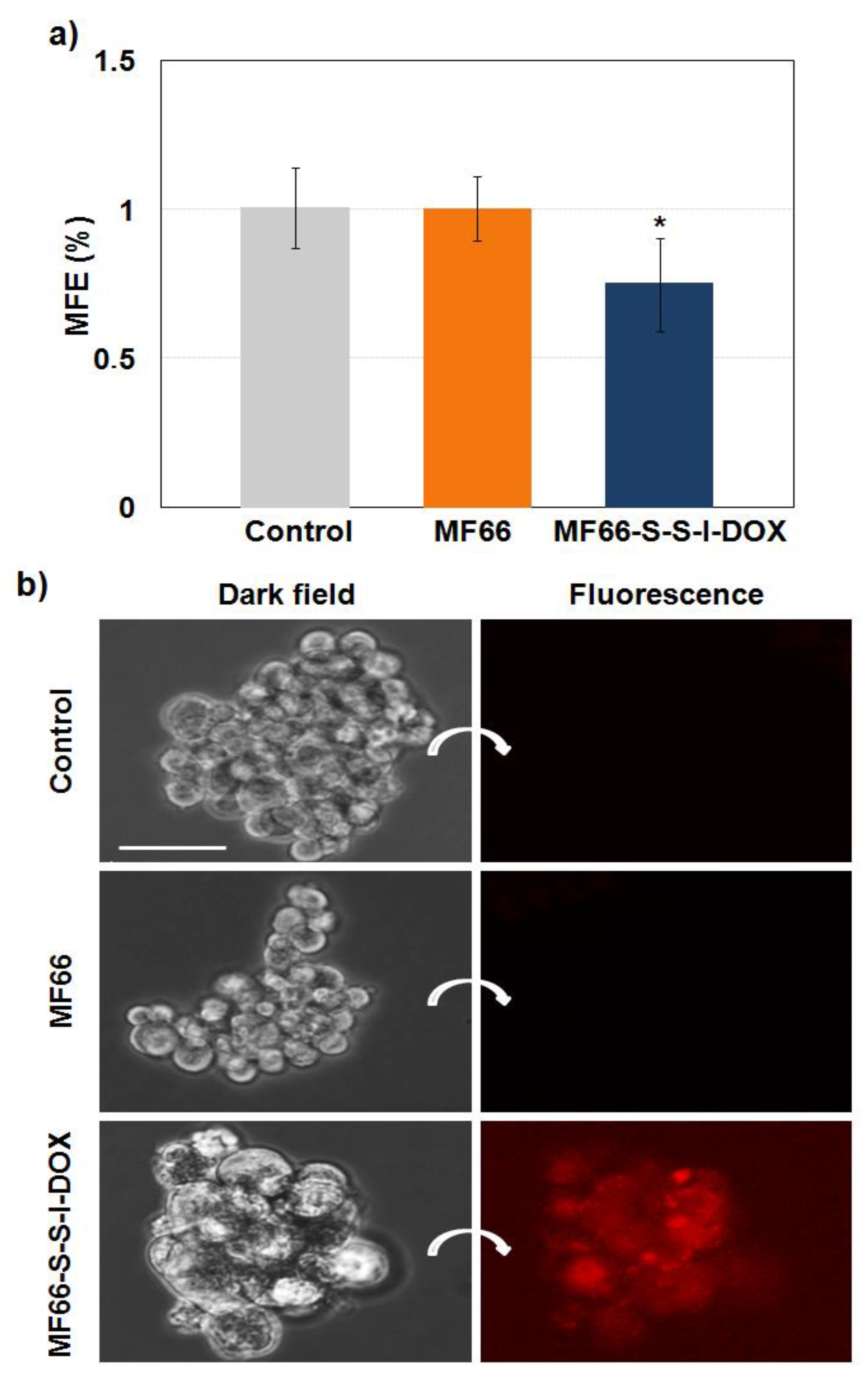 Cancers 12 01397 g006 Cancers 12 01397 g006