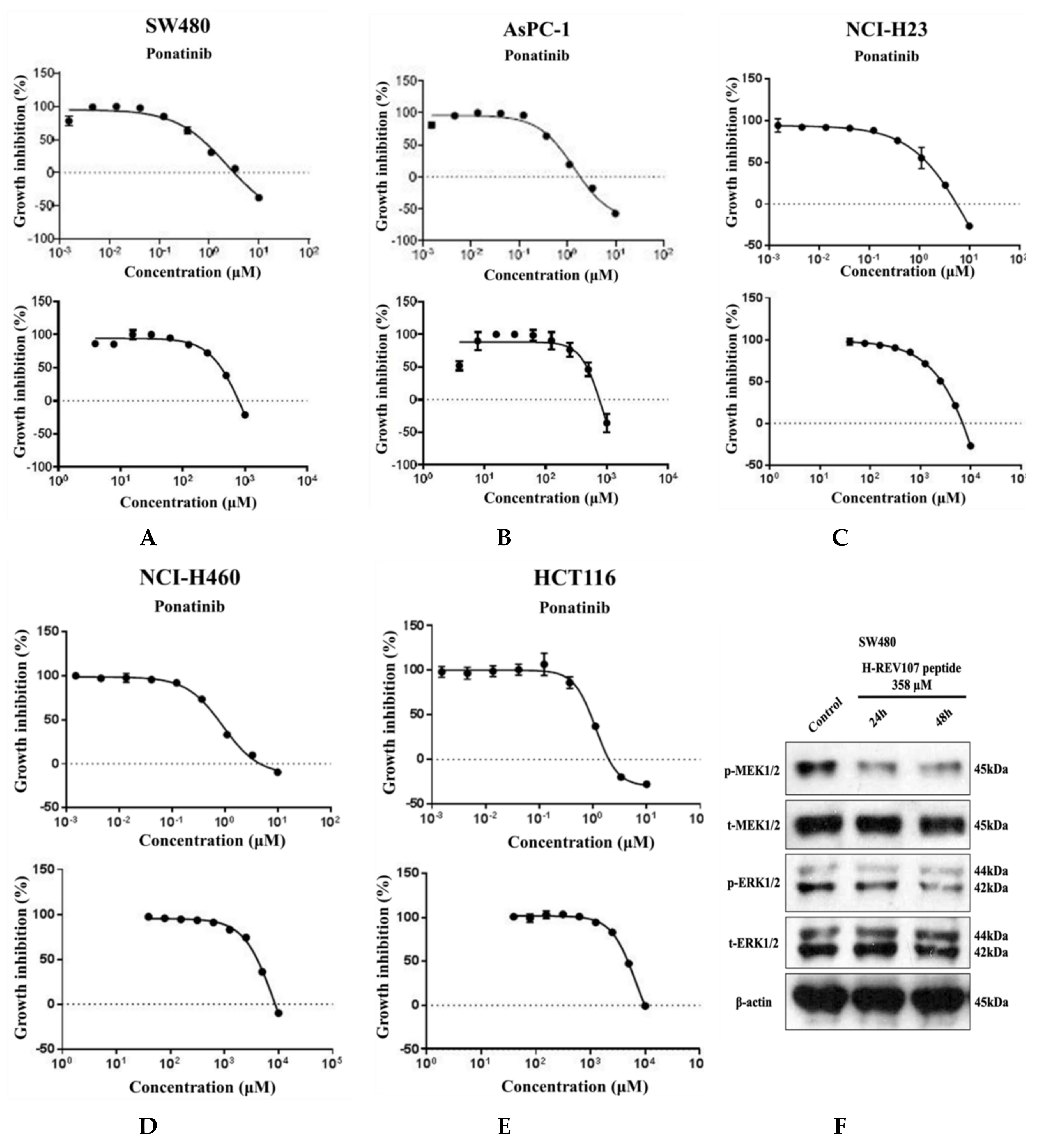 Cancers 12 01412 g003a Cancers 12 01412 g003a