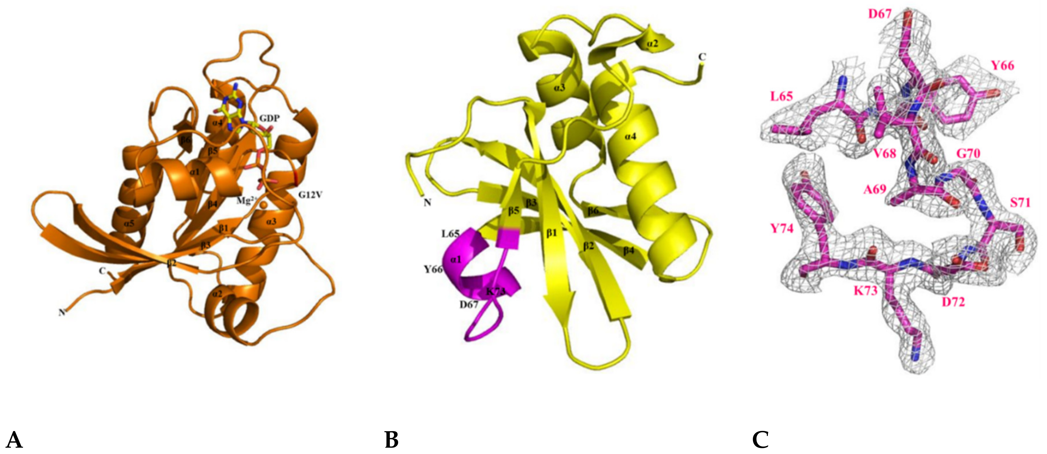 Cancers 12 01412 g005a Cancers 12 01412 g005a
