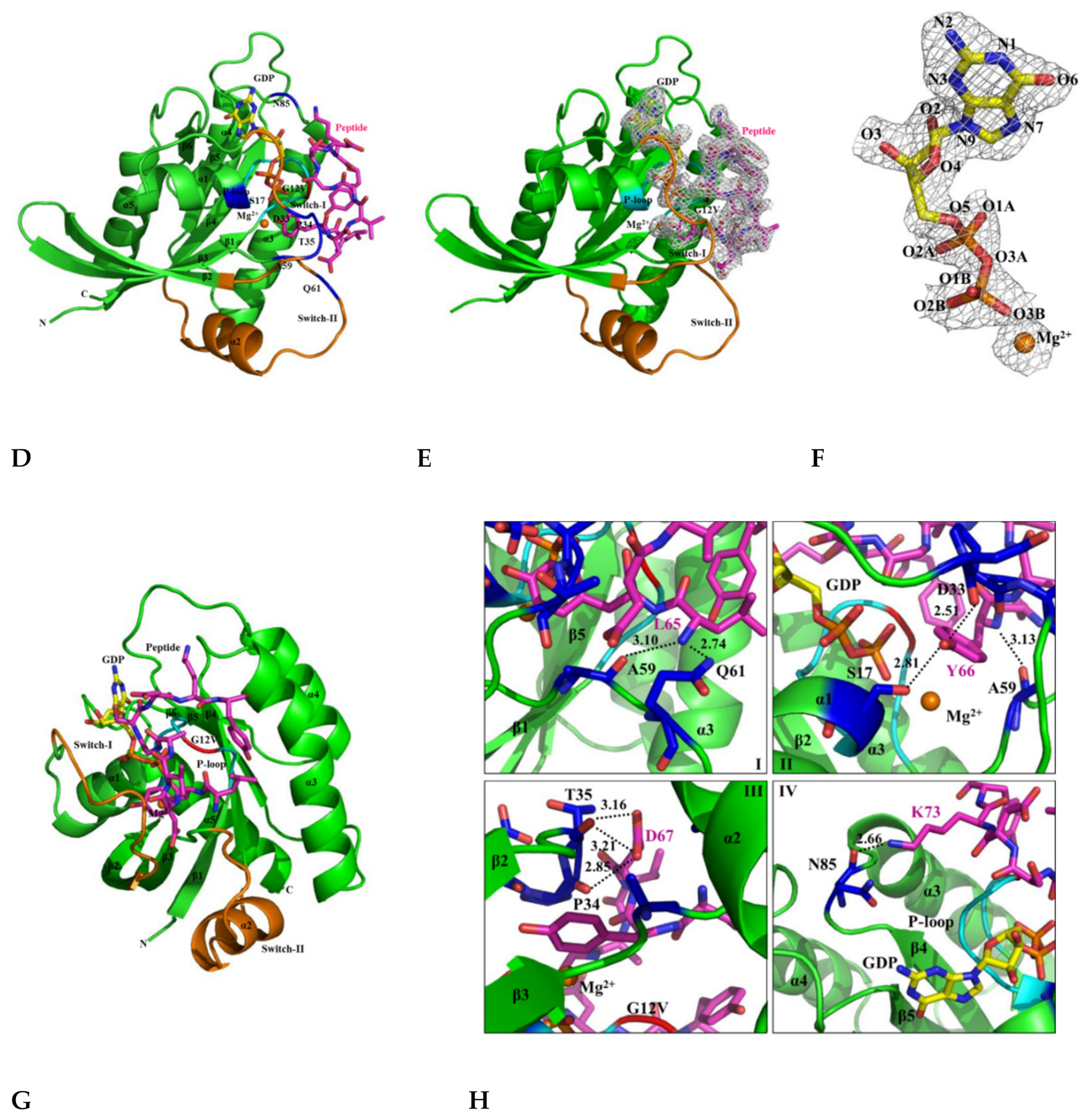 Cancers 12 01412 g005b Cancers 12 01412 g005b
