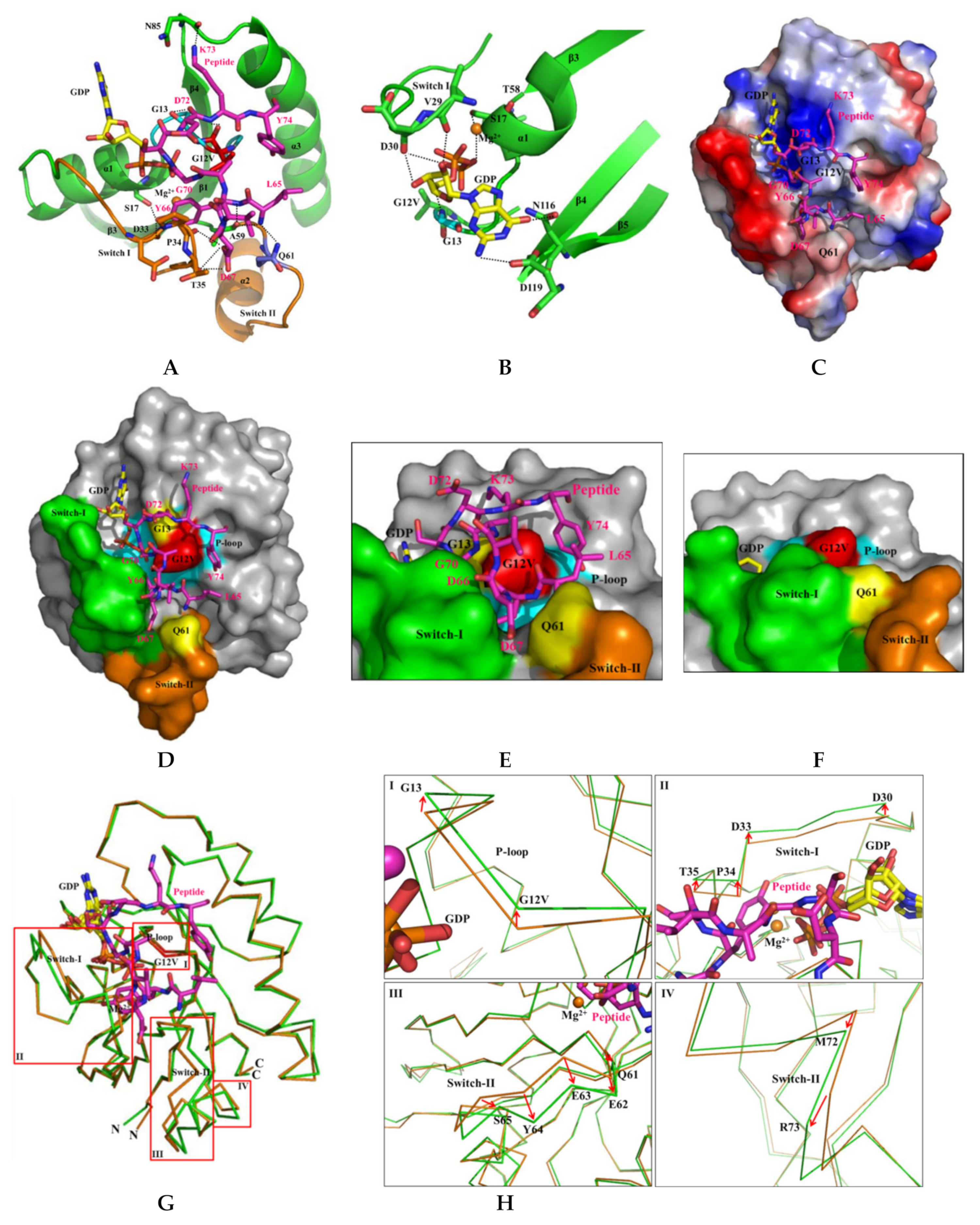 Cancers 12 01412 g006 Cancers 12 01412 g006