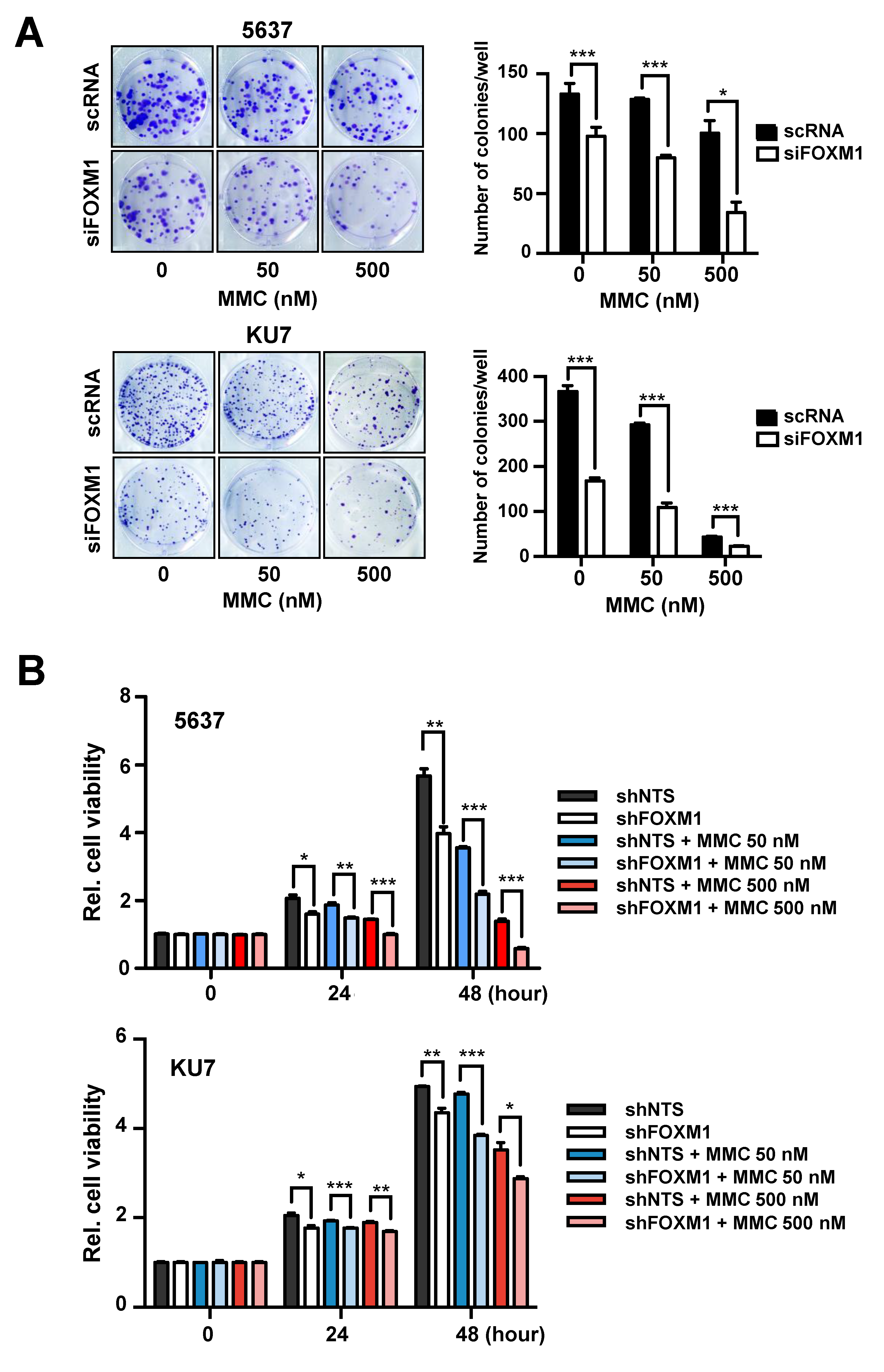 Cancers 12 01417 g003