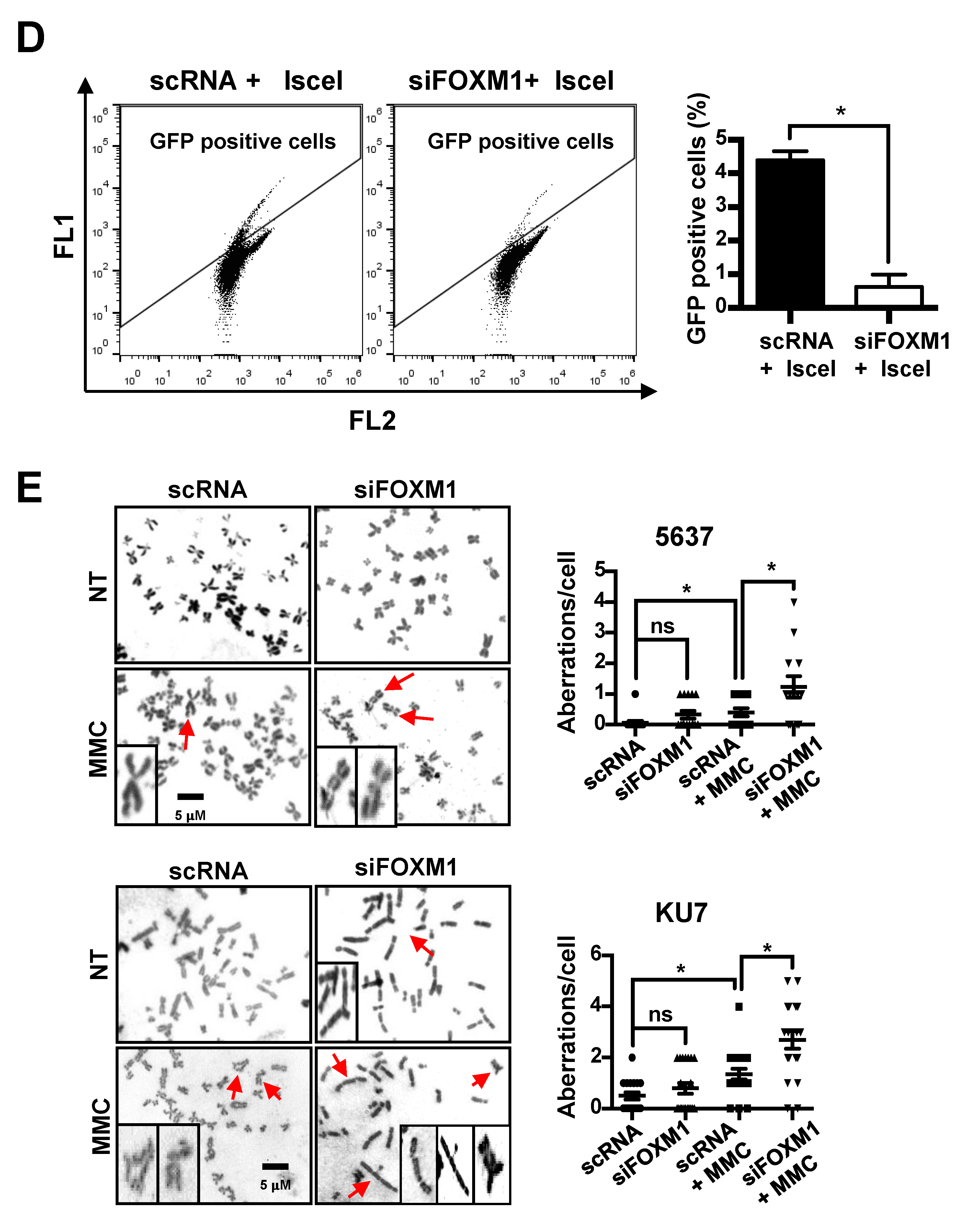 Cancers 12 01417 g005b