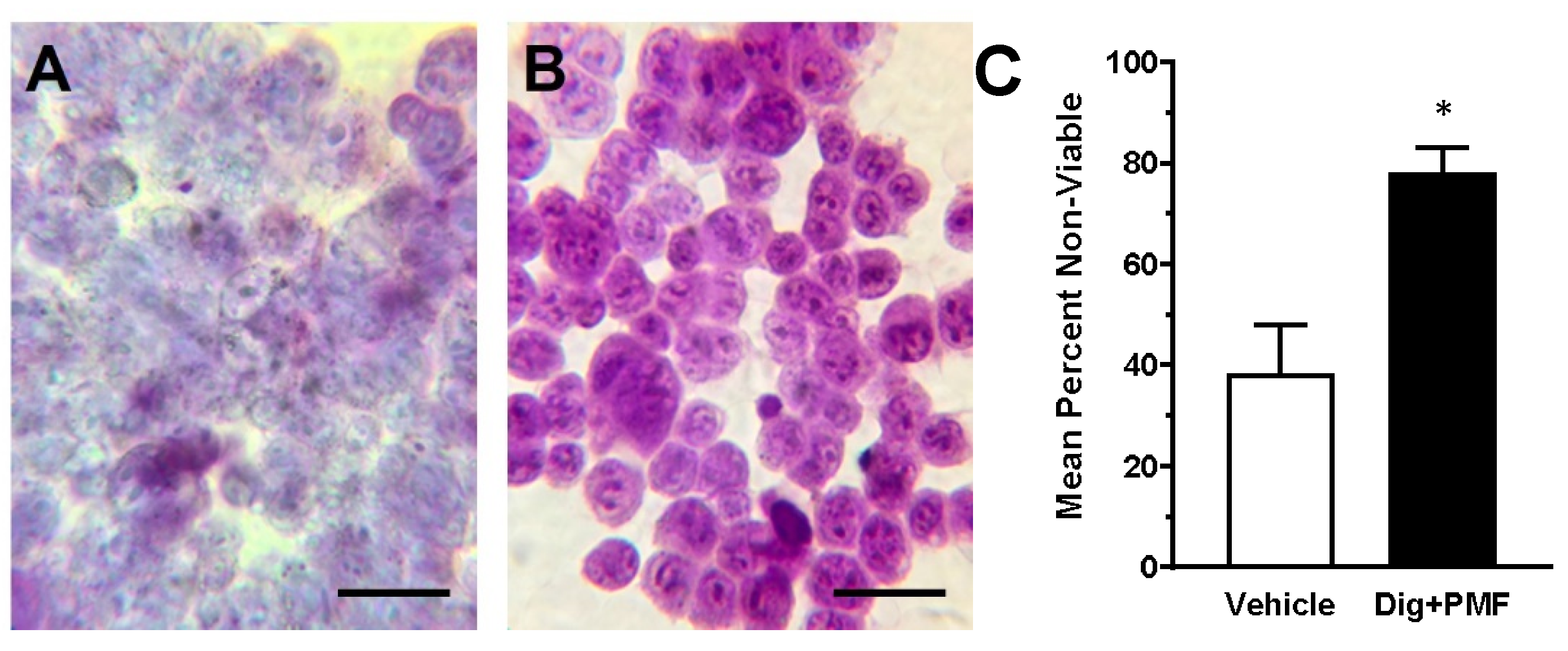 Cancers 12 01420 g005