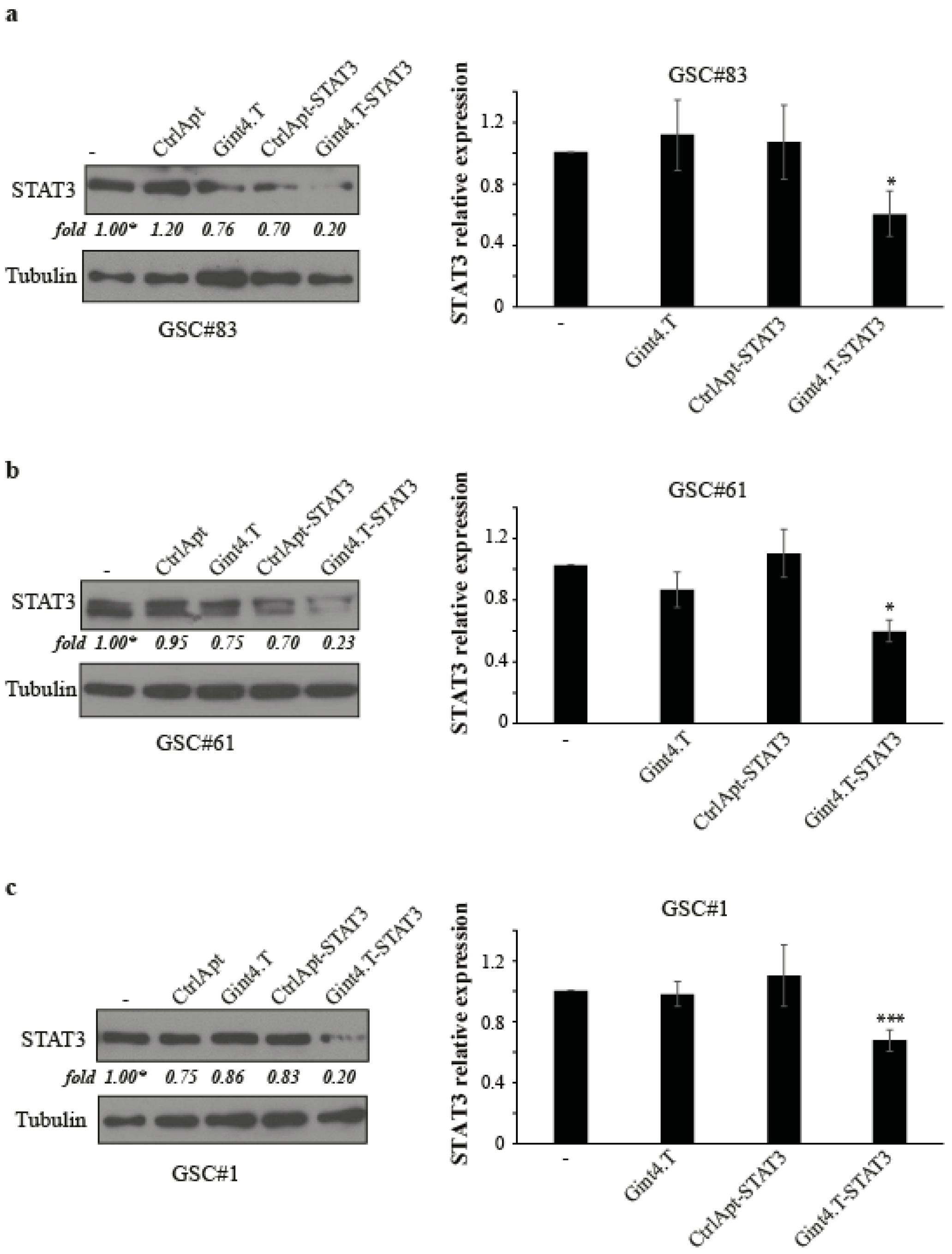 Cancers 12 01434 g001