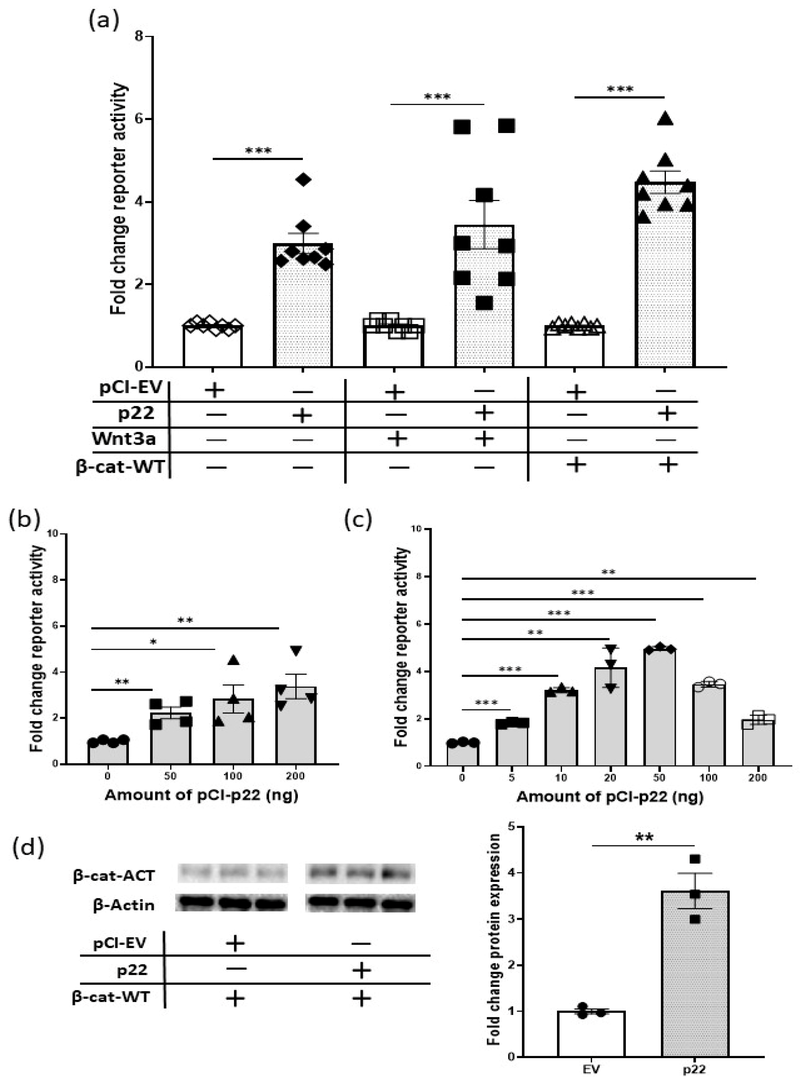 Cancers 12 01435 g002 Cancers 12 01435 g002