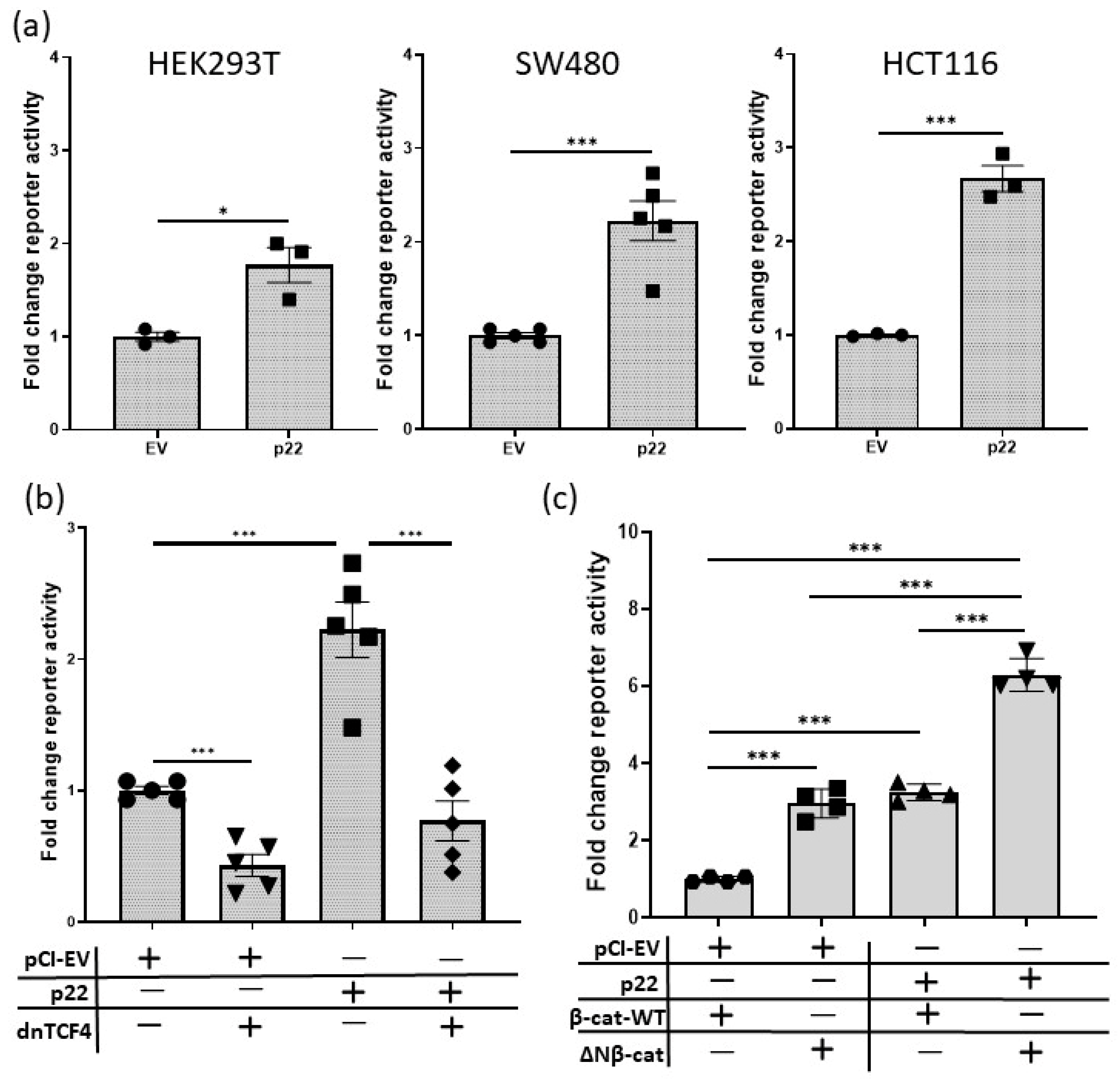 Cancers 12 01435 g004 Cancers 12 01435 g004