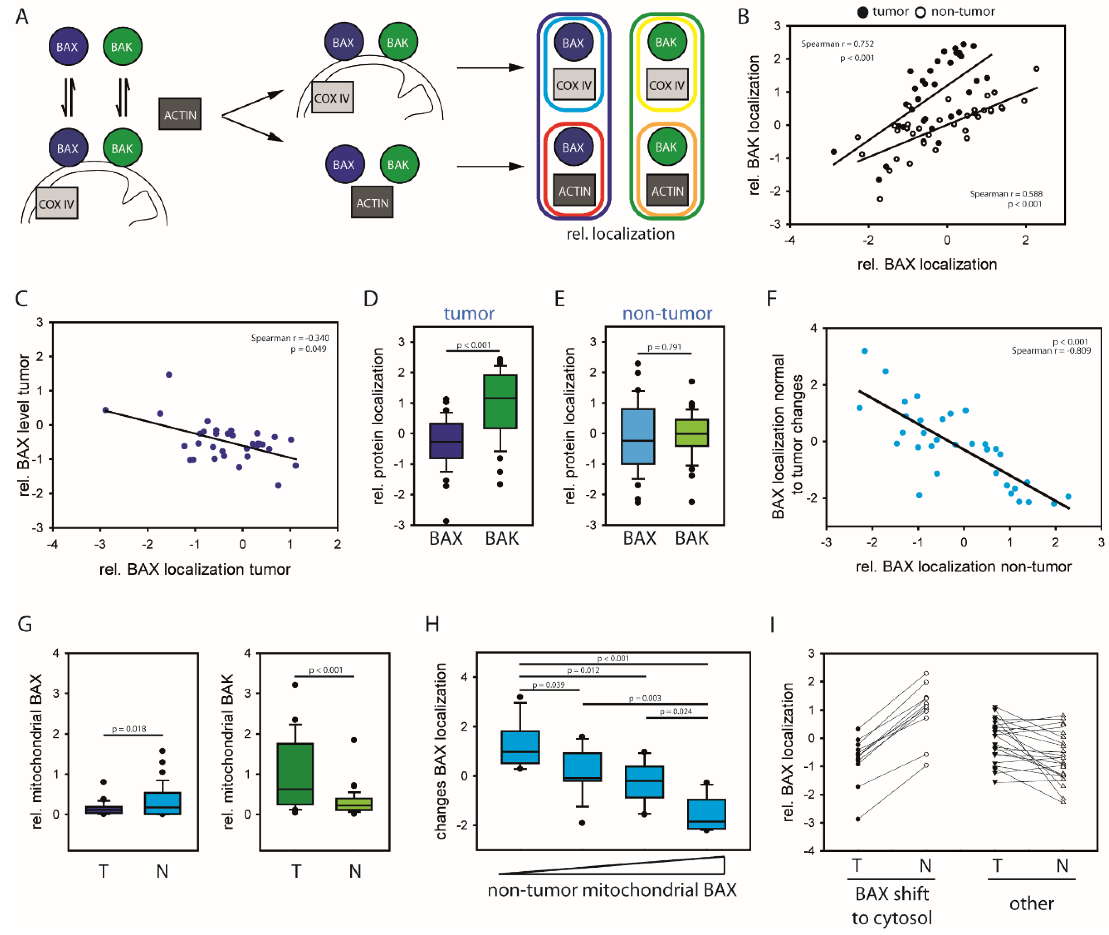 Cancers 12 01437 g001