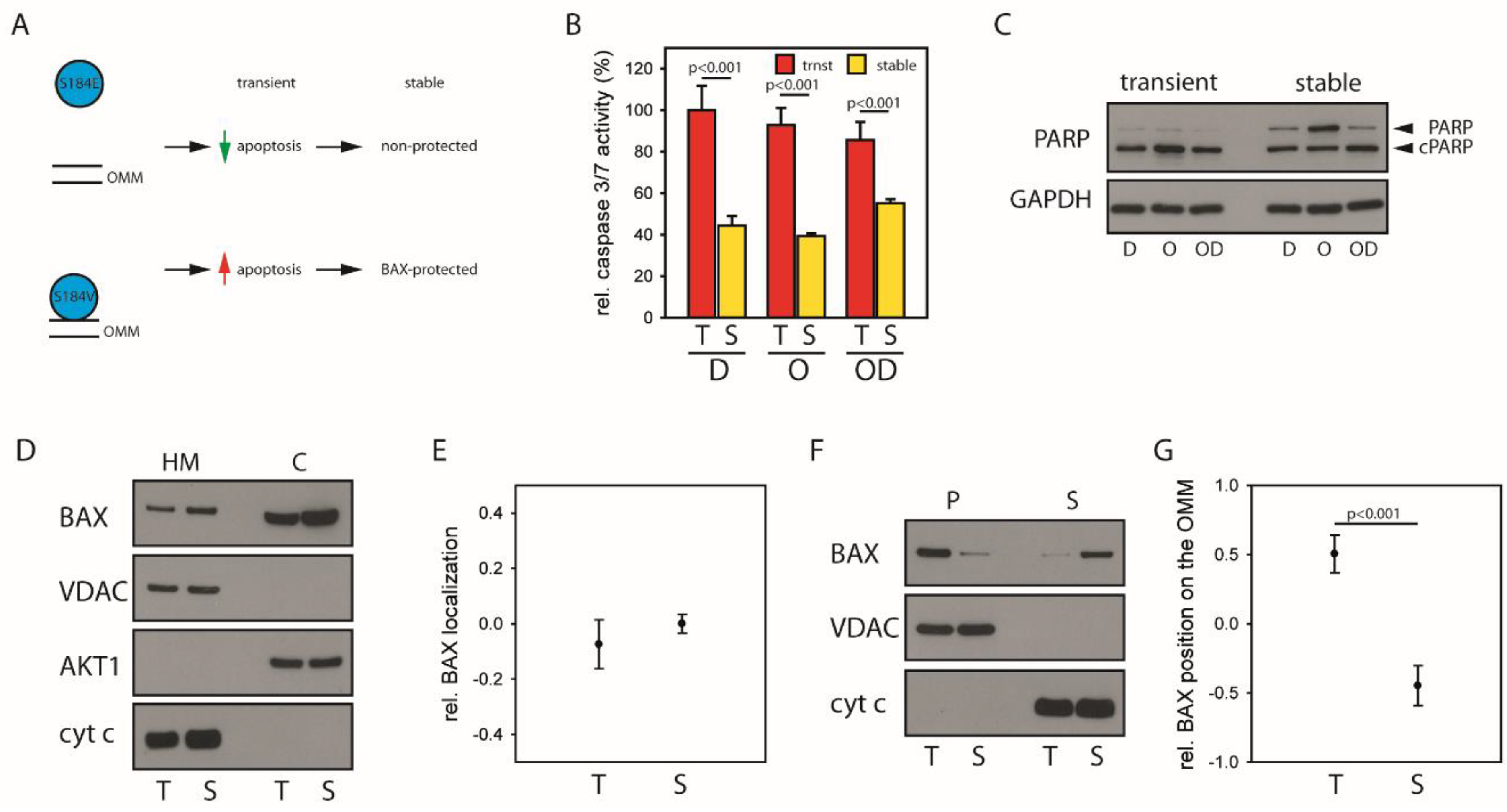 Cancers 12 01437 g004