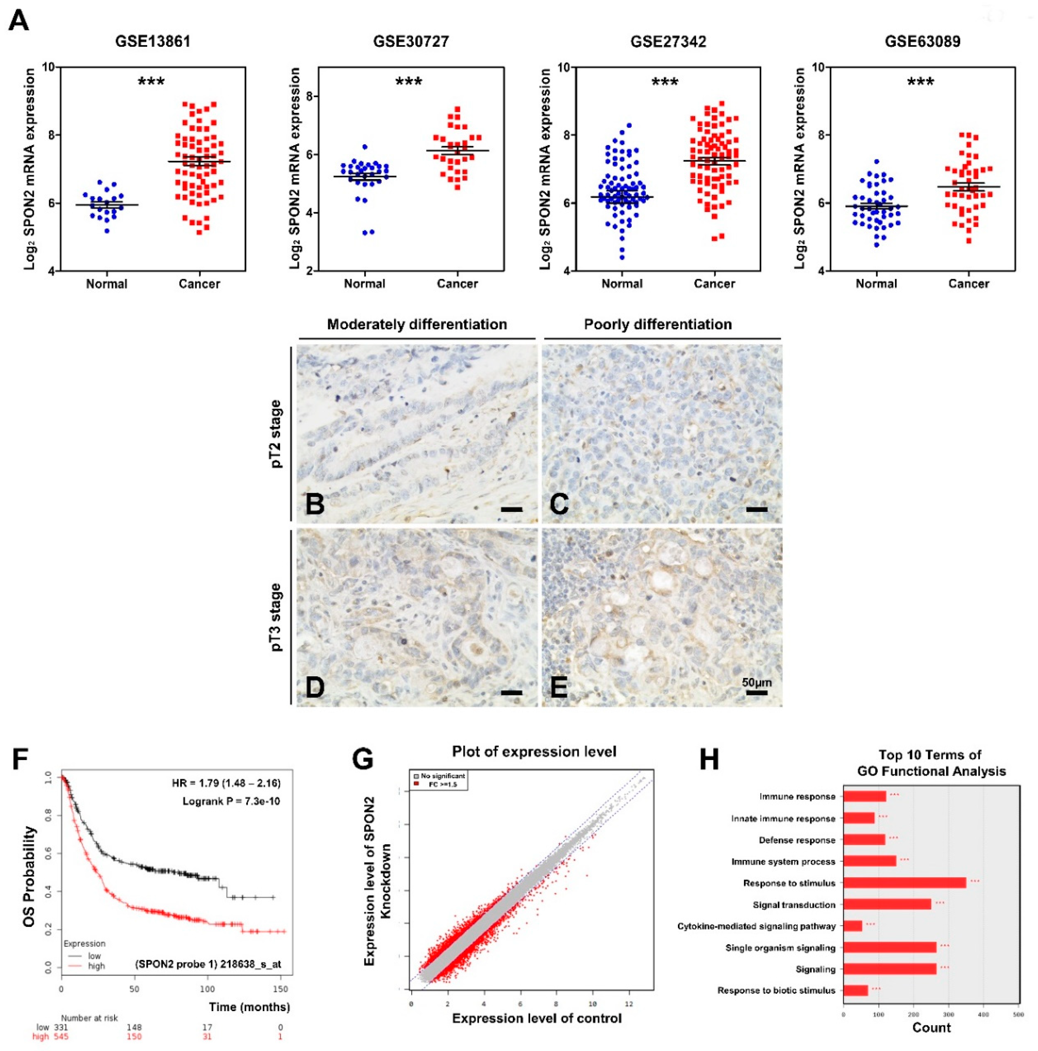 Cancers 12 01439 g001