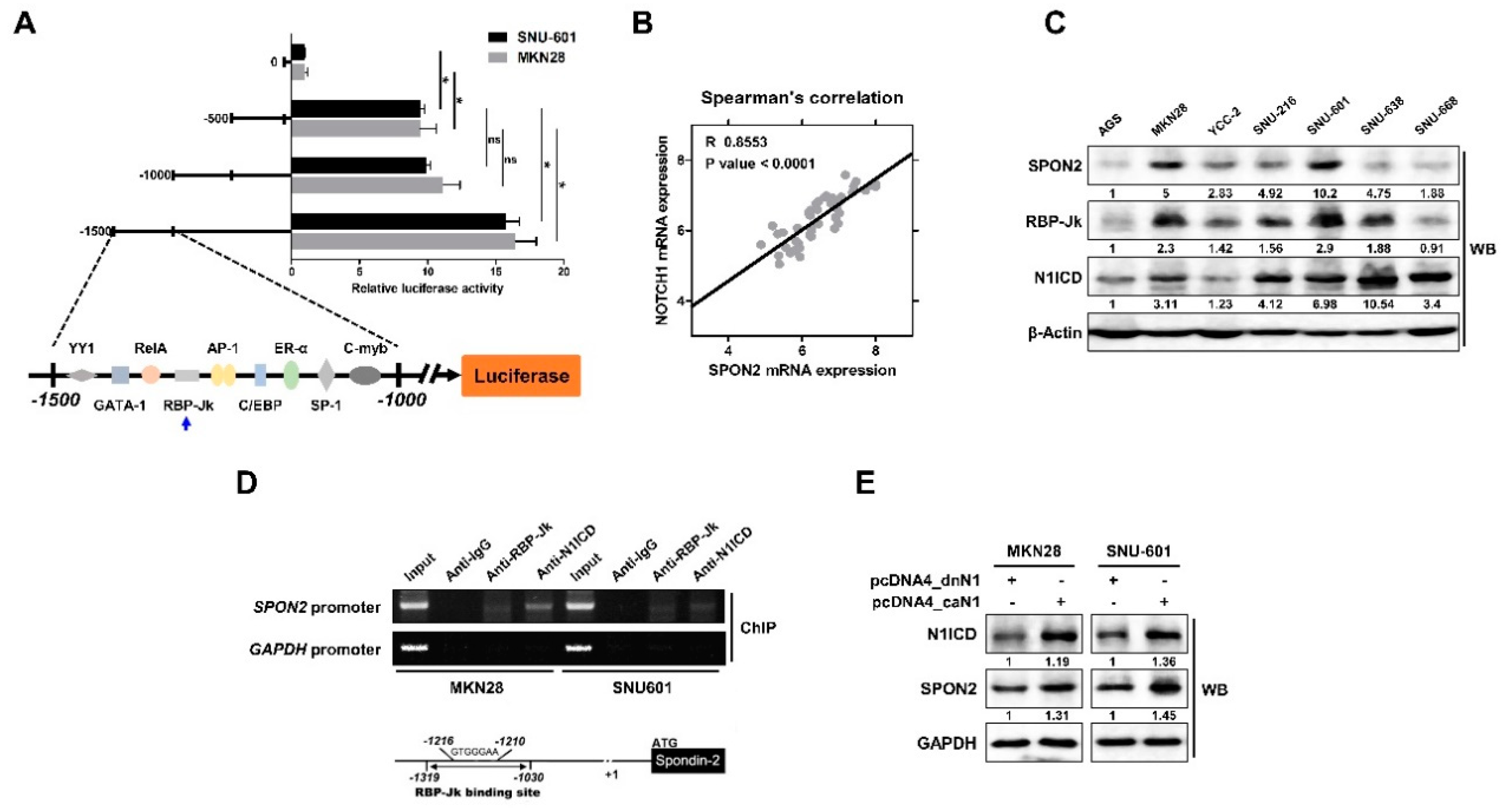 Cancers 12 01439 g005