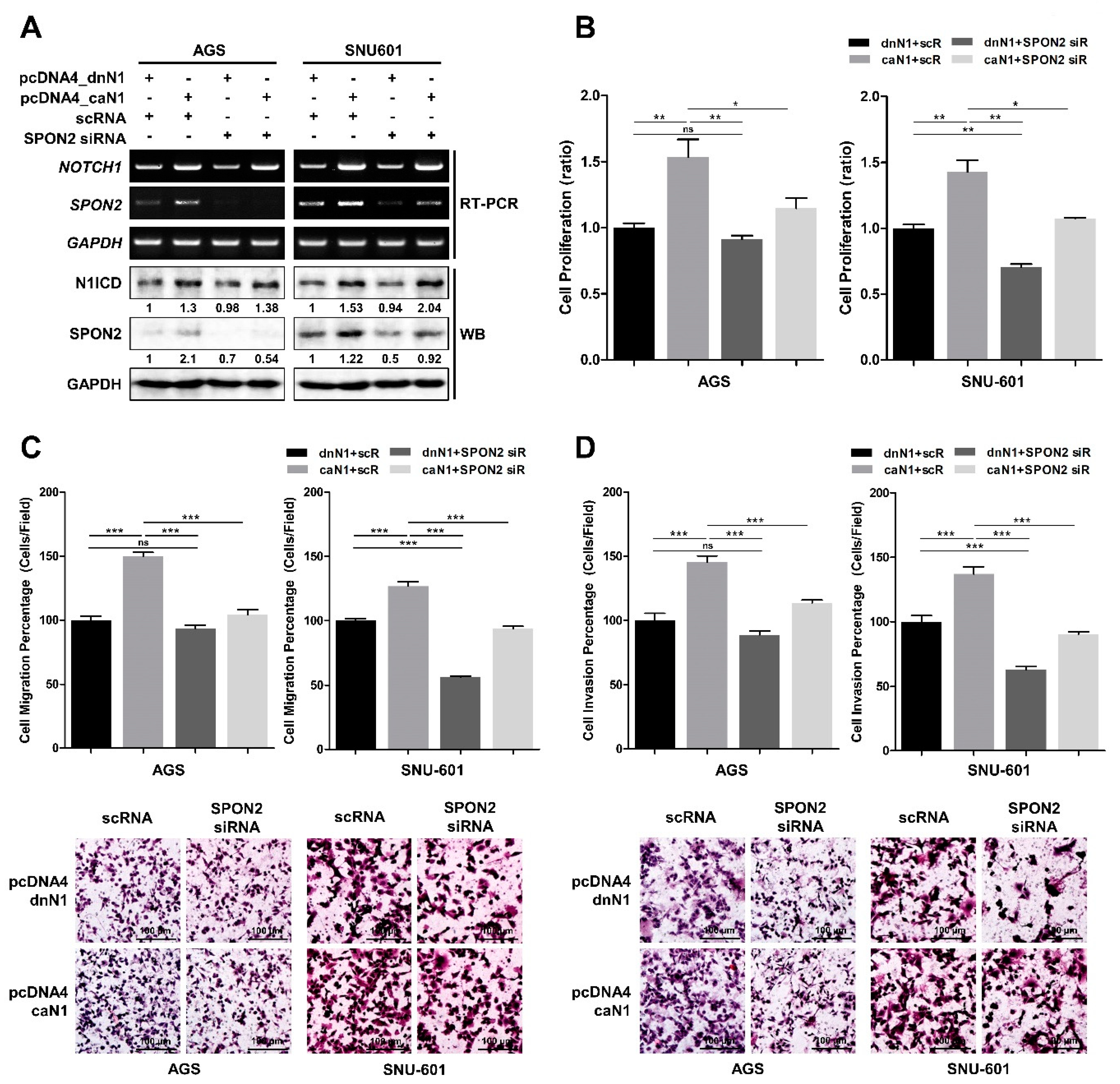 Cancers 12 01439 g006
