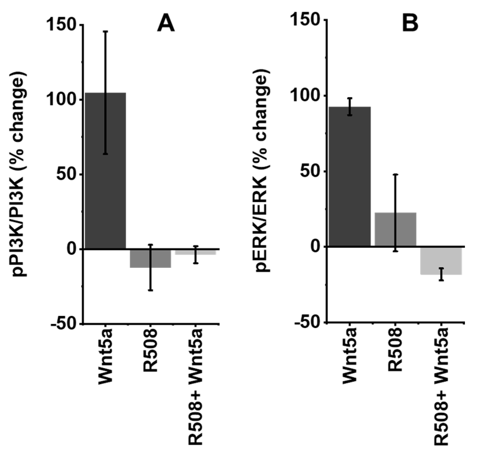 Cancers 12 01446 g004 Cancers 12 01446 g004