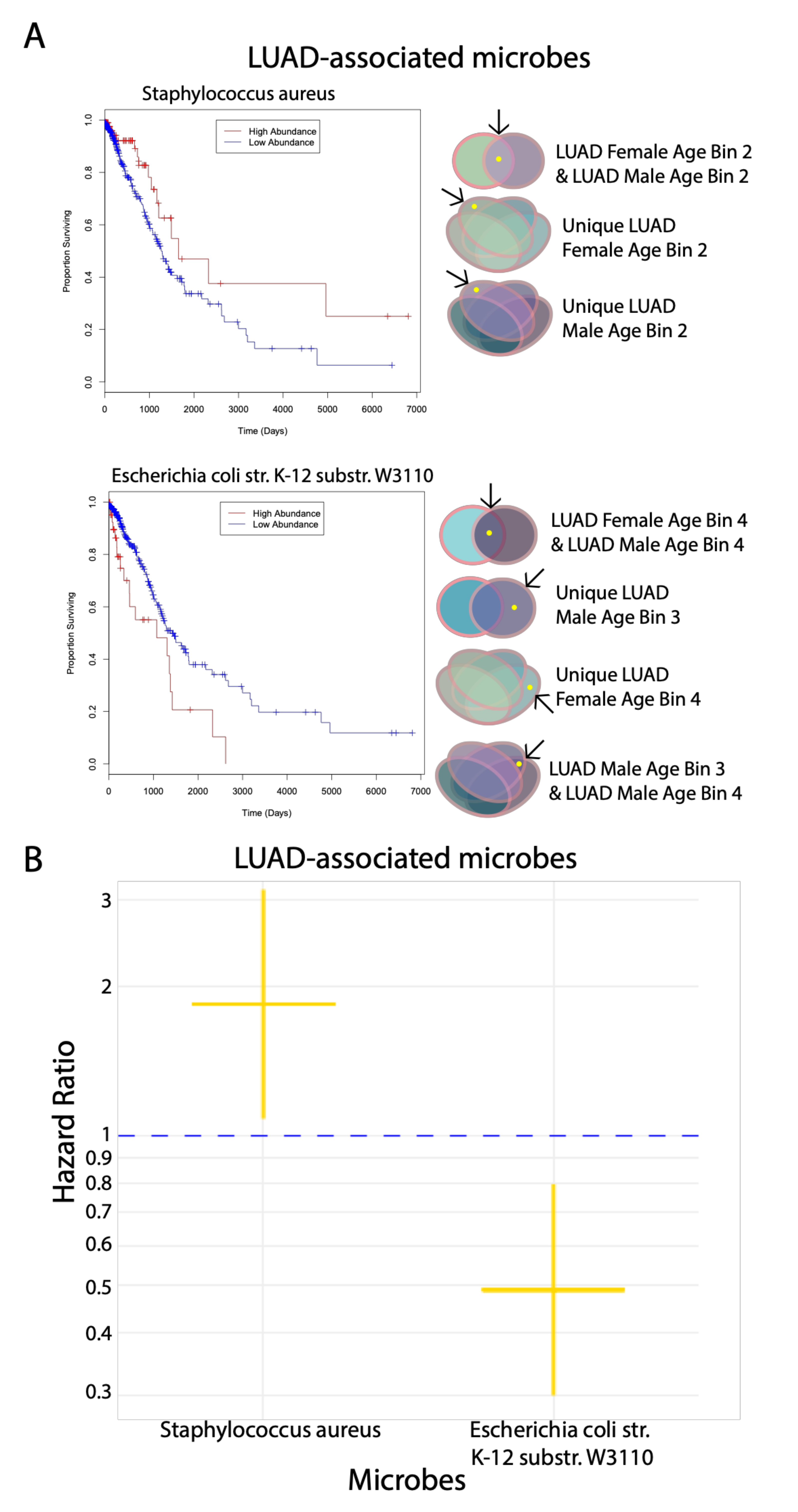 Cancers 12 01447 g004